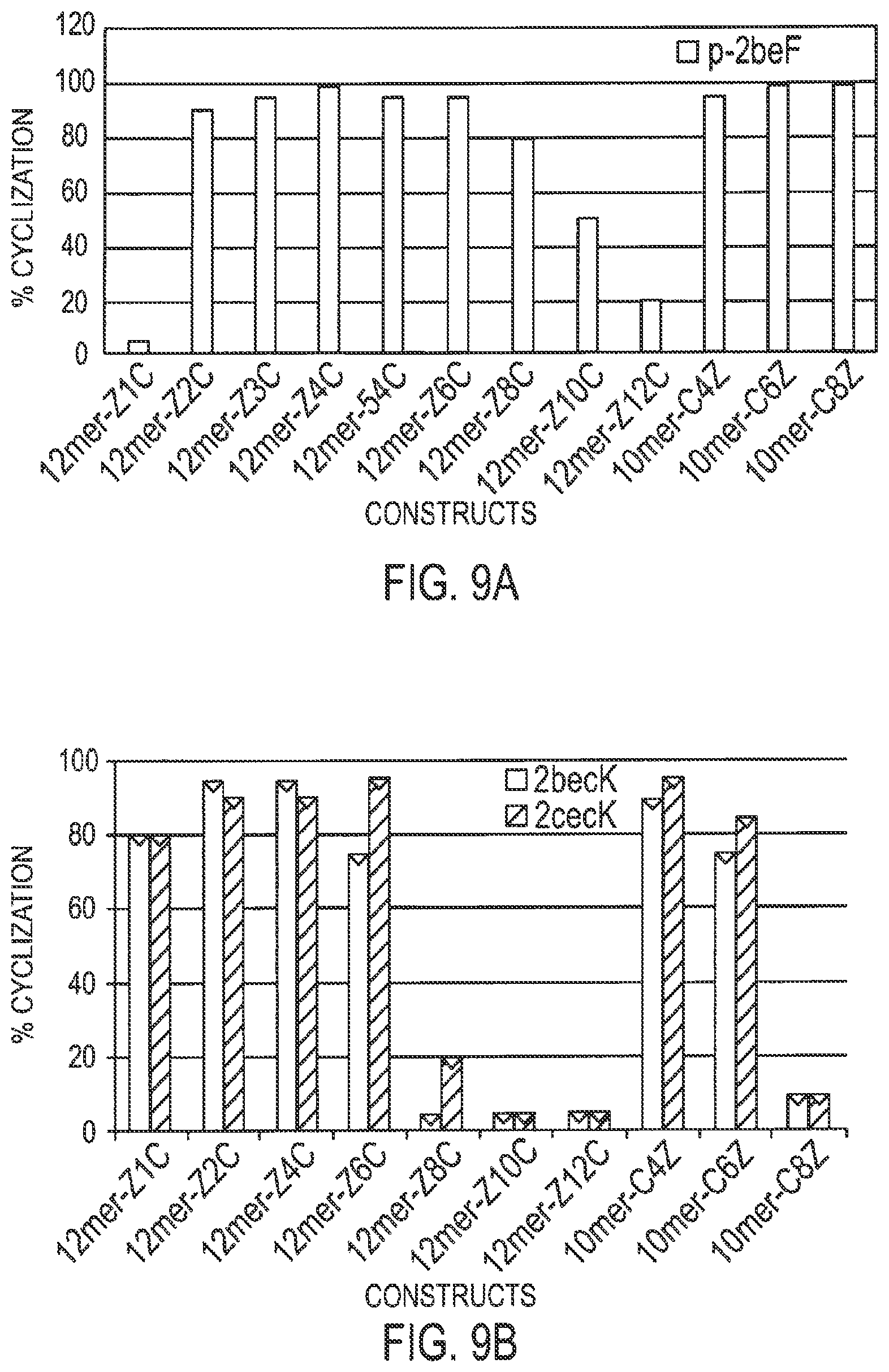 Patent US12359192 Figure 9 – Methods and compositions for display of macrocyclic peptides