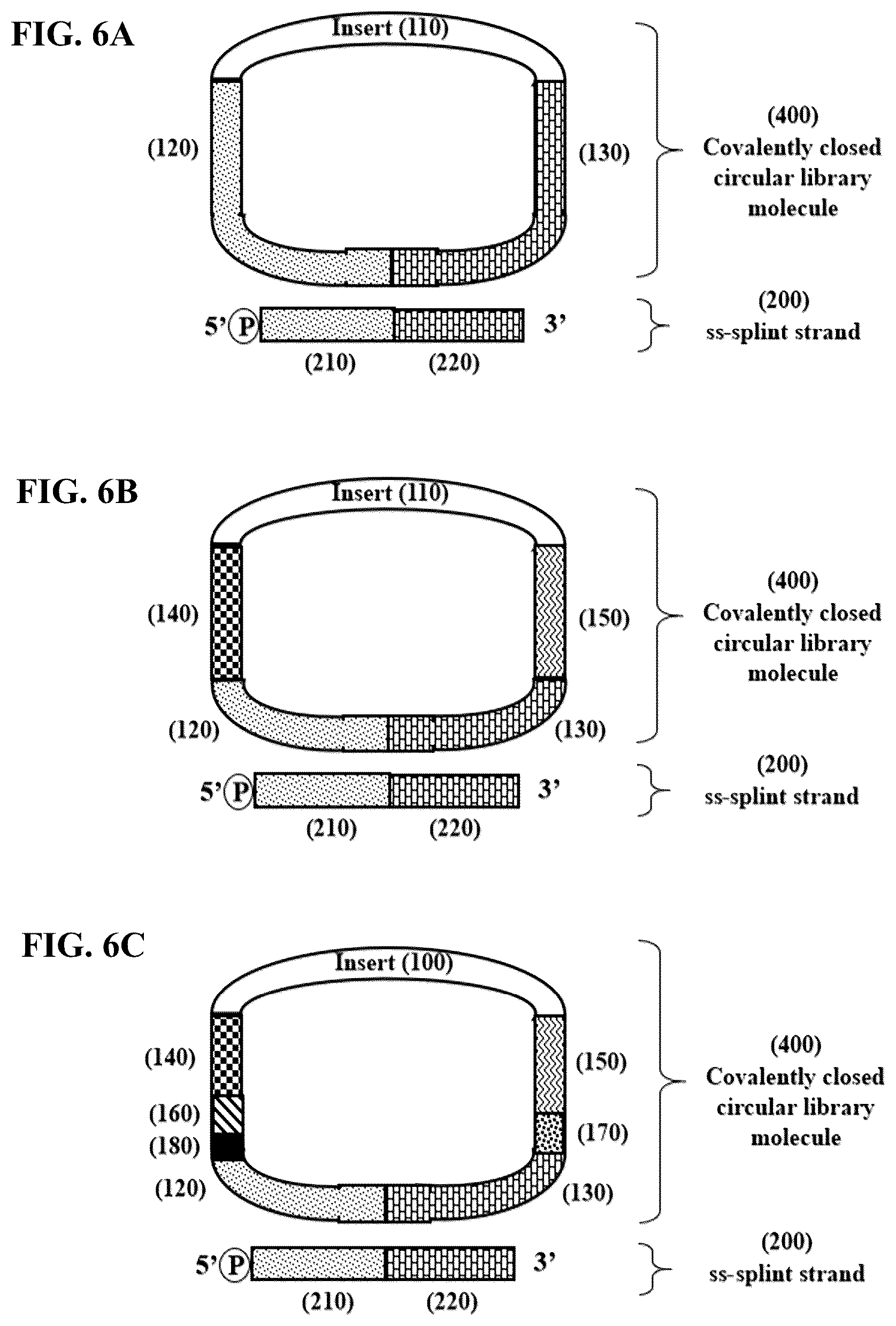 Patent US12359193 Figure 6 – Single-stranded splint strands and methods of use