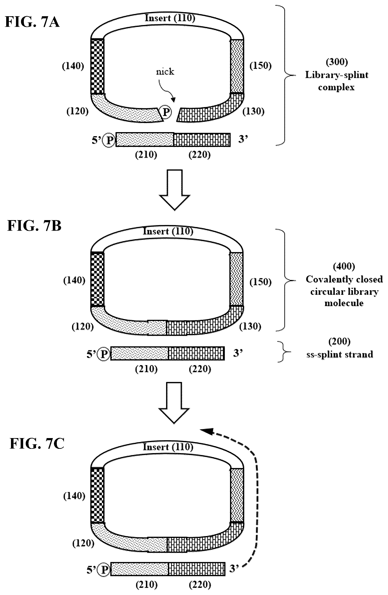 Patent US12359193 Figure 7 – Single-stranded splint strands and methods of use