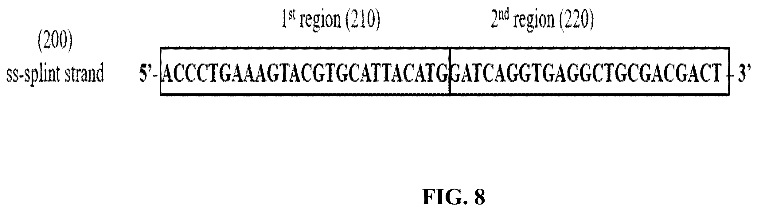 Patent US12359193 Figure 8 – Single-stranded splint strands and methods of use