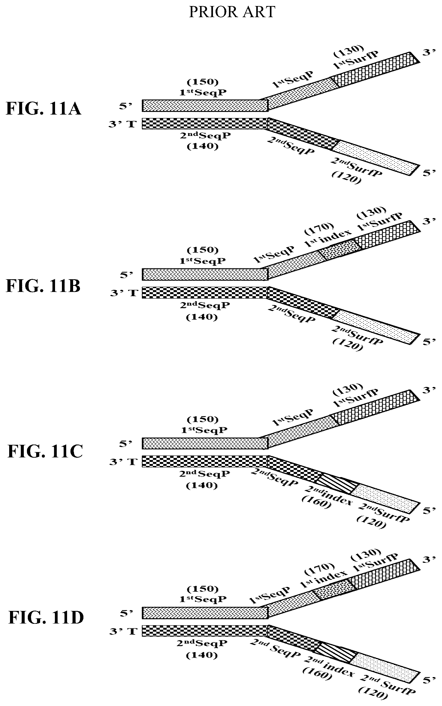 Patent US12359193 Figure 16 – Single-stranded splint strands and methods of use