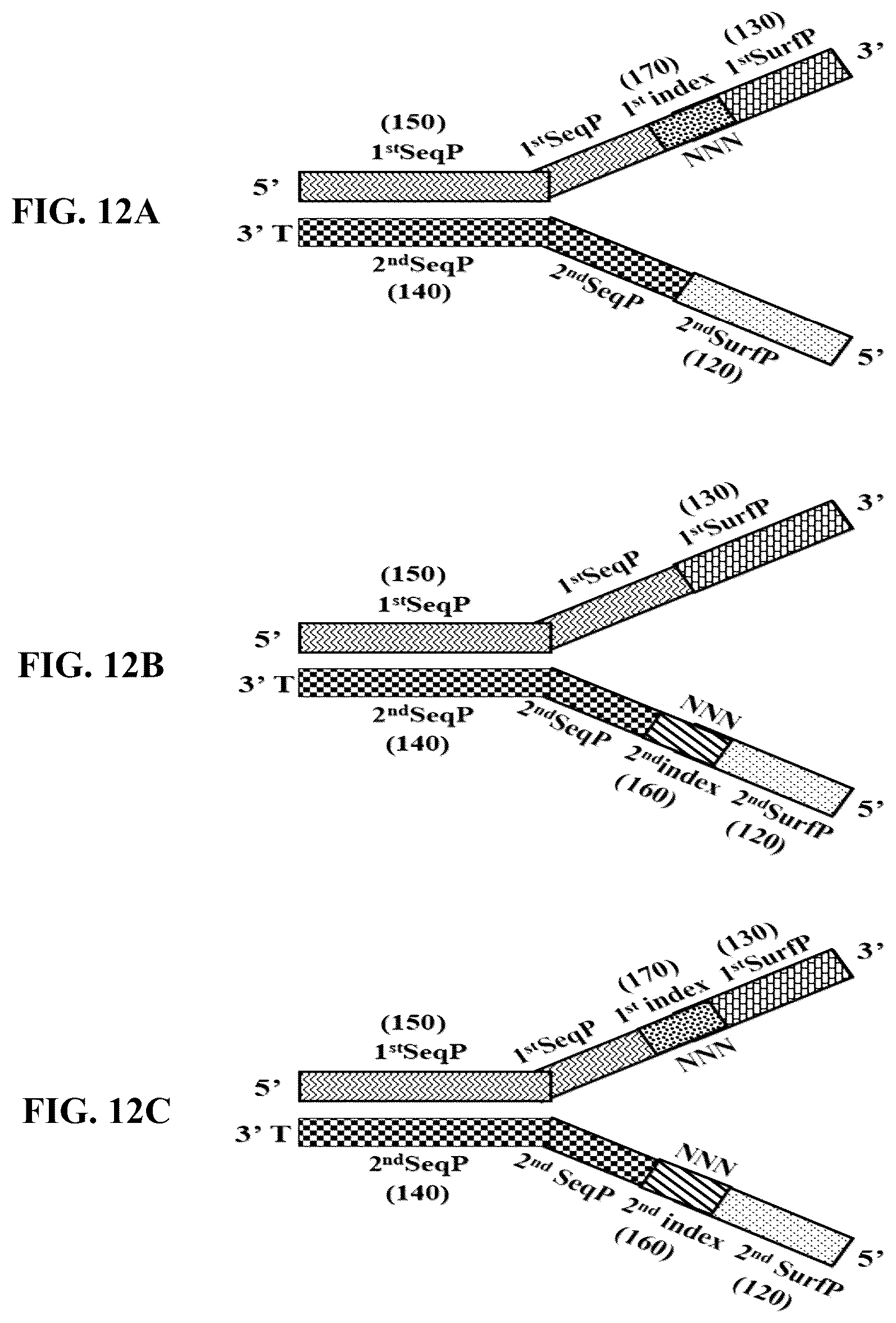 Patent US12359193 Figure 17 – Single-stranded splint strands and methods of use