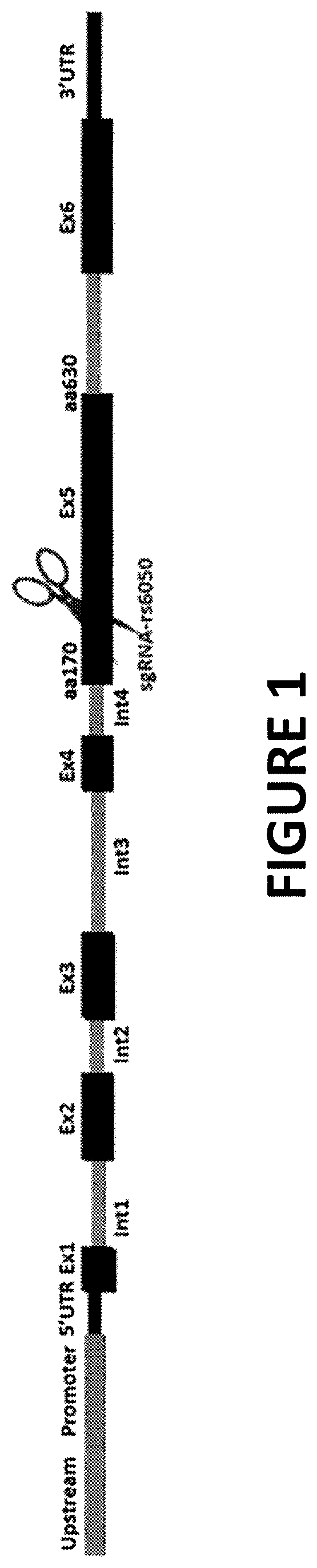 Patent US12359196 — Differential knockout of an allele of a heterozygous fibrinogen alpha chain (FGA) gene — Figure 1