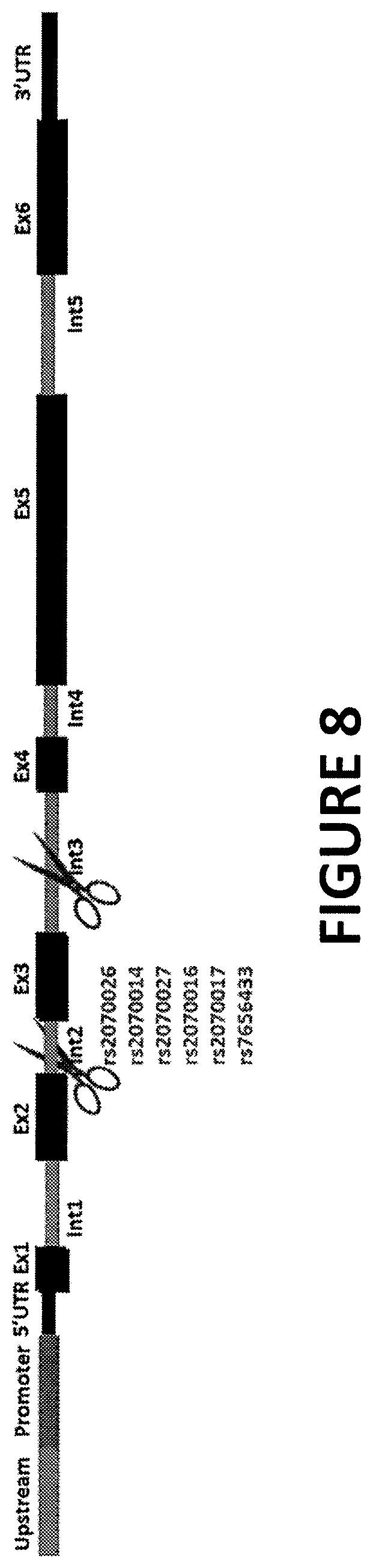 Patent US12359196 Figure 9 – Differential knockout of an allele of a heterozygous fibrinogen alpha chain (FGA) gene