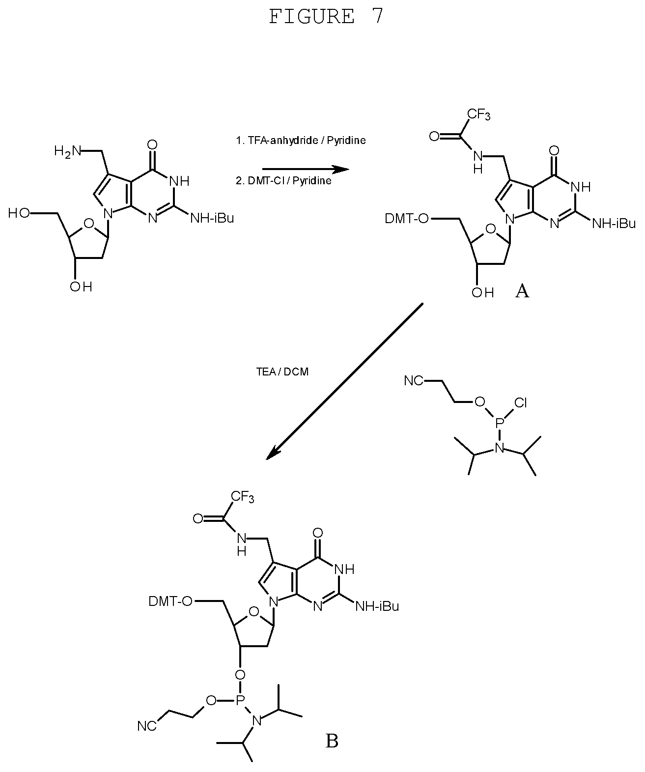 Patent US12359197 Figure 7 – Compositions and methods for editing nucleic acids in cells utilizing oligonucleotides