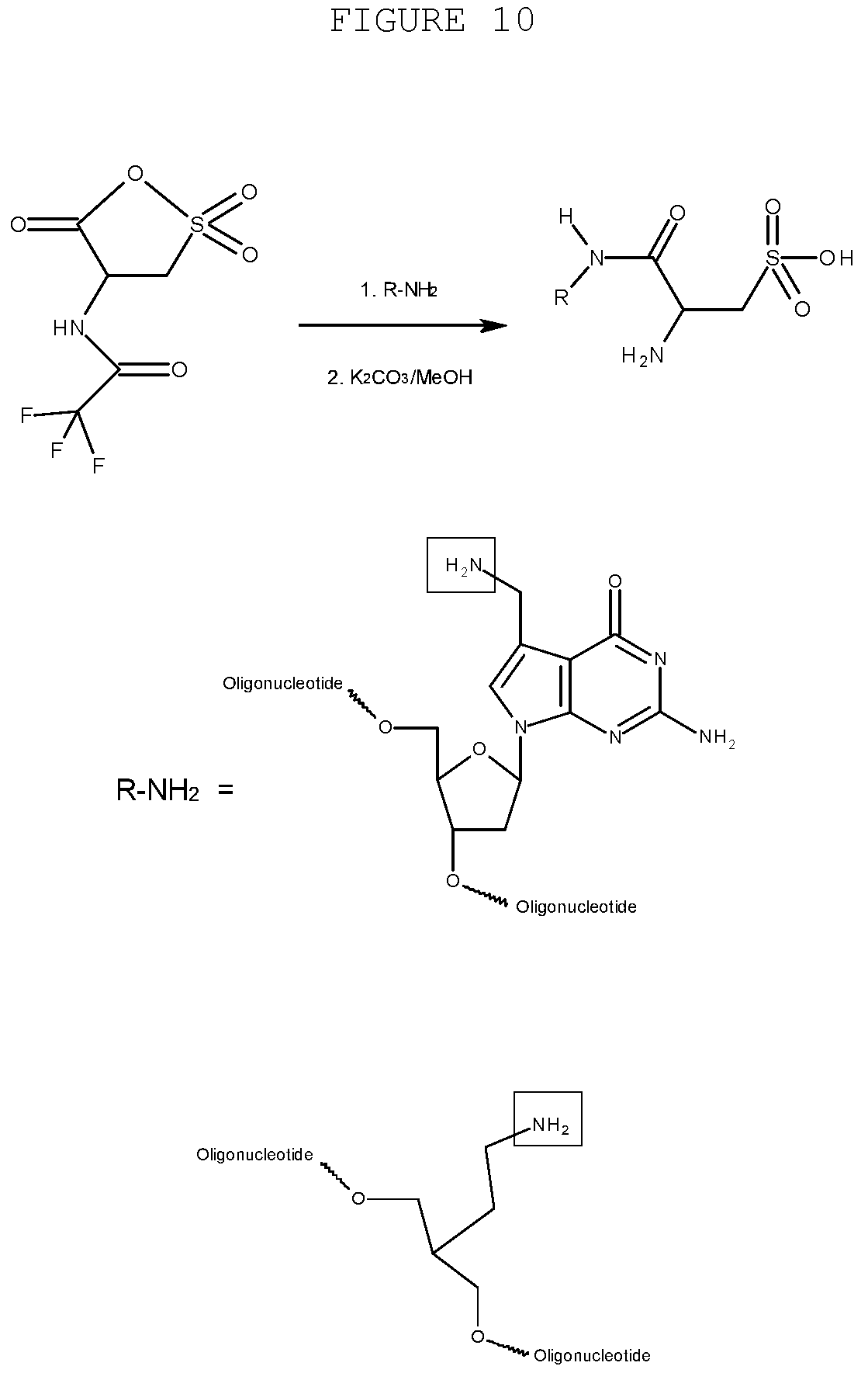 Patent US12359197 Figure 10 – Compositions and methods for editing nucleic acids in cells utilizing oligonucleotides