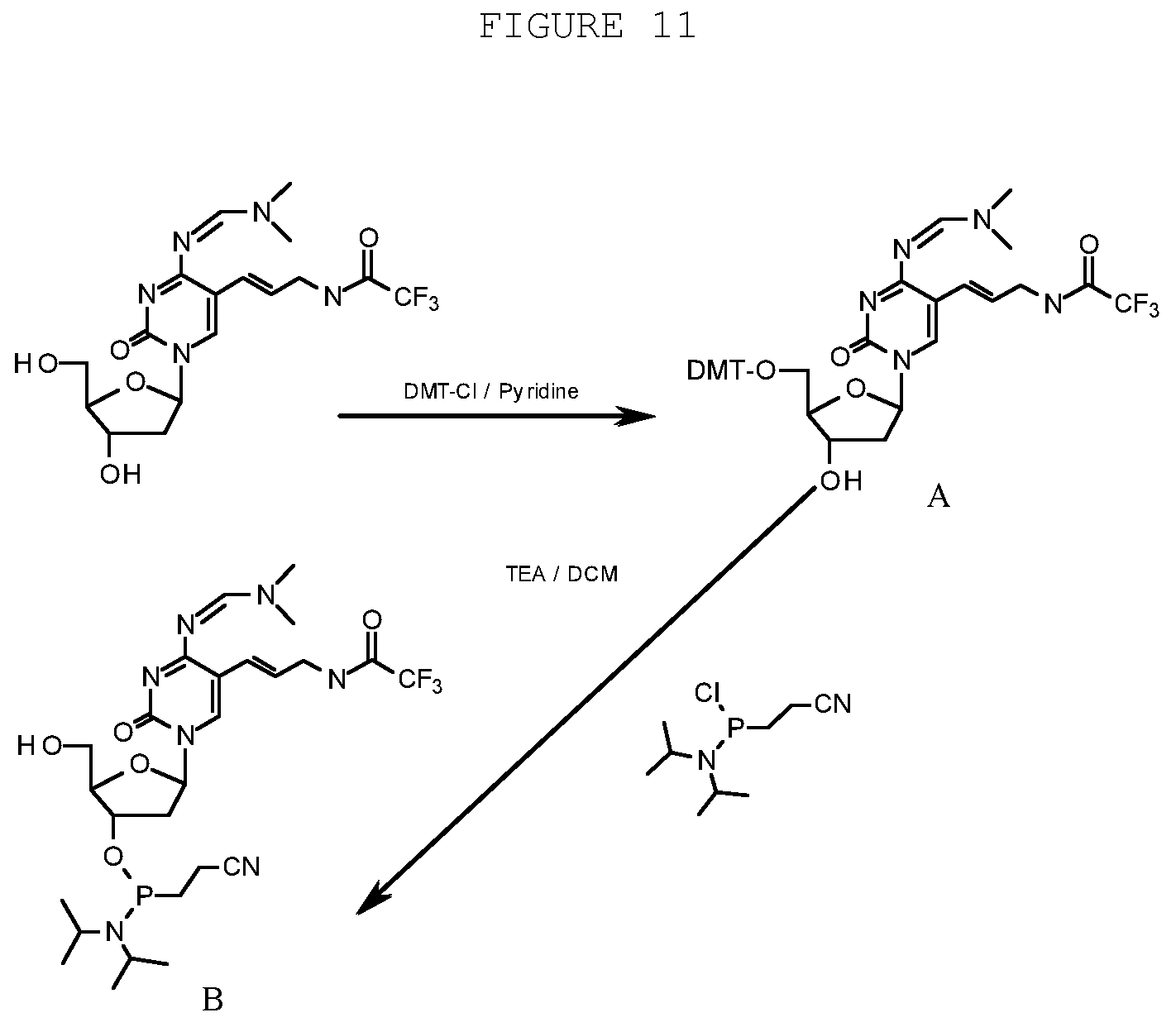 Patent US12359197 Figure 11 – Compositions and methods for editing nucleic acids in cells utilizing oligonucleotides