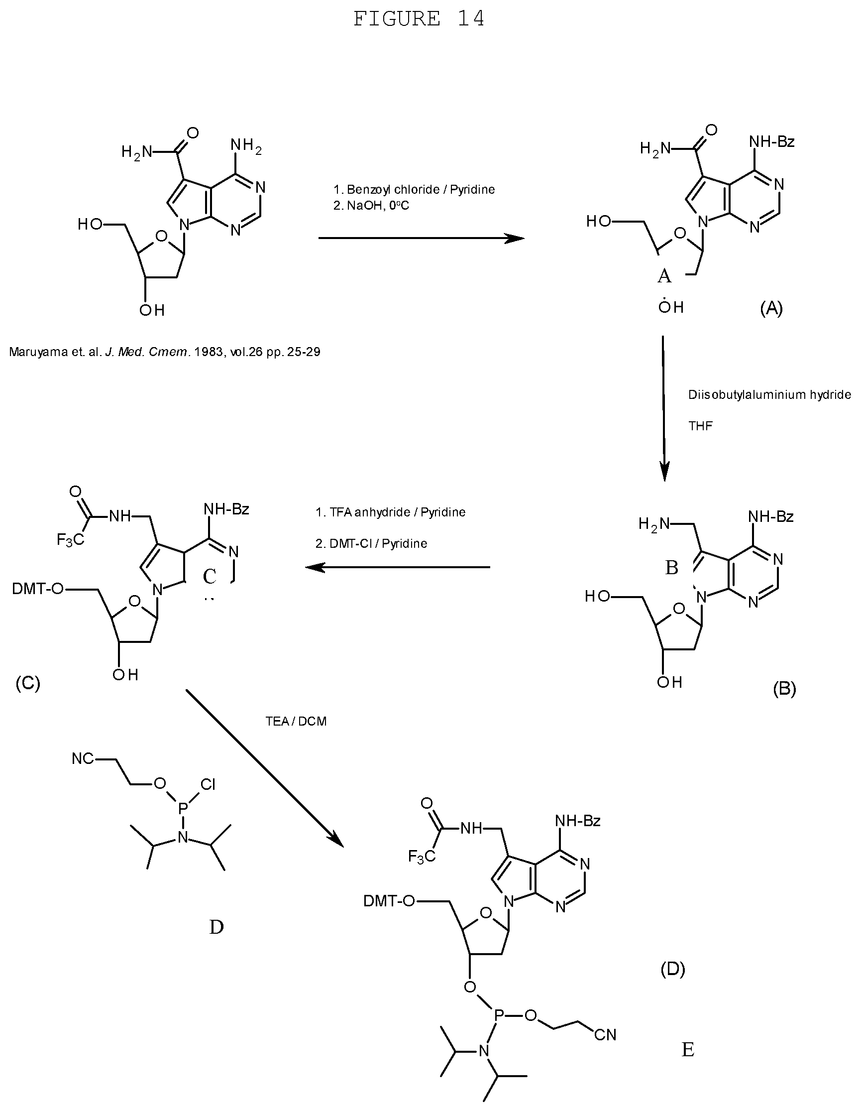 Patent US12359197 Figure 14 – Compositions and methods for editing nucleic acids in cells utilizing oligonucleotides