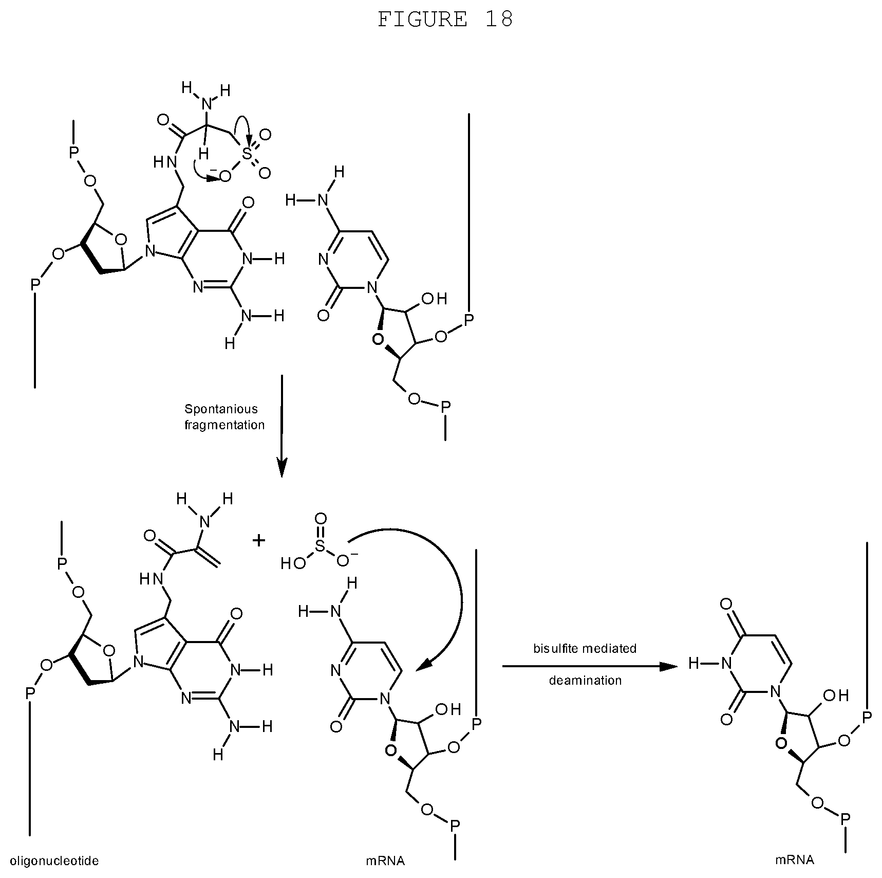 Patent US12359197 Figure 18 – Compositions and methods for editing nucleic acids in cells utilizing oligonucleotides