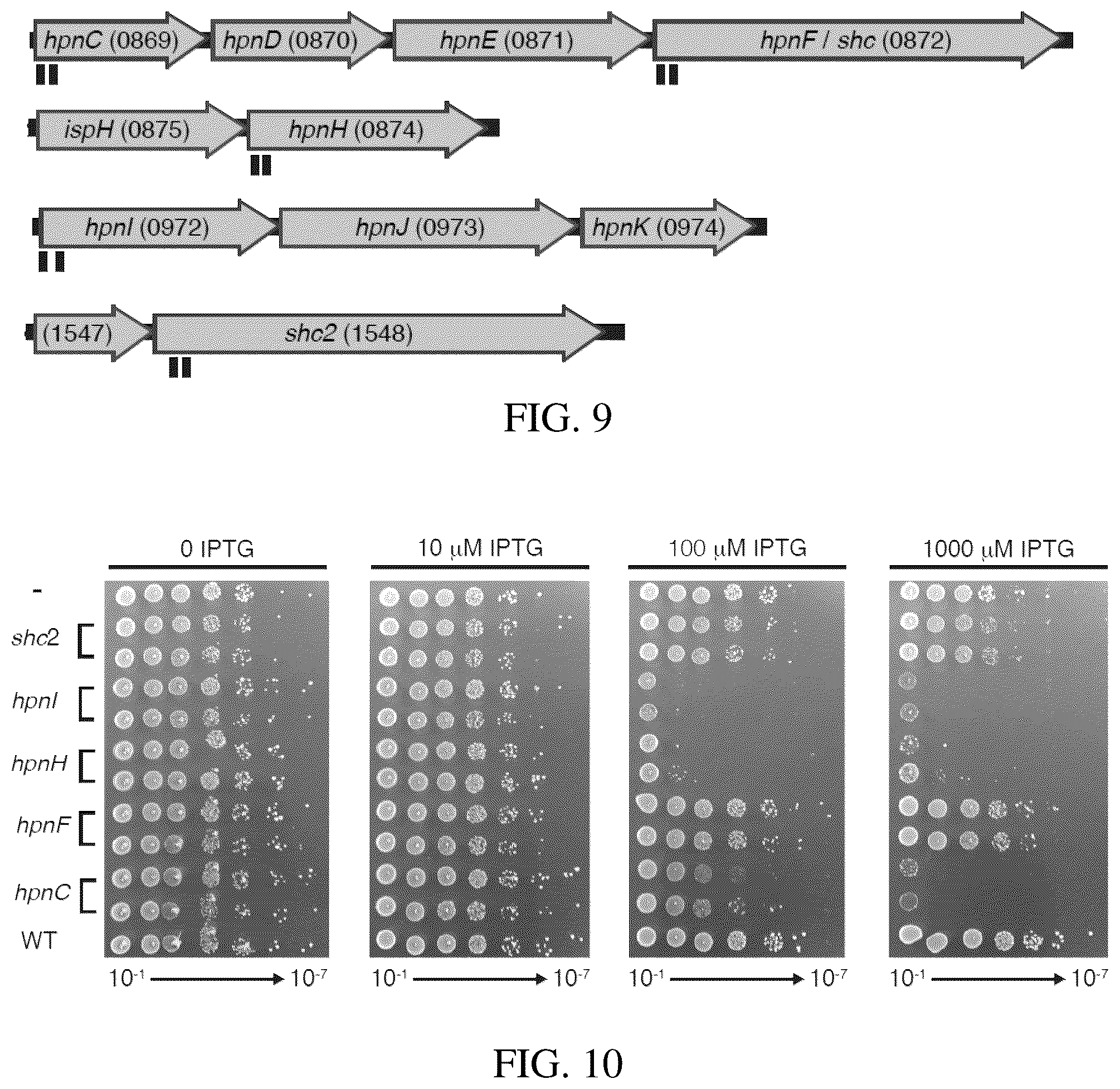 Patent US12359198 Figure 5 – High-efficacy crispri system and strong synthetic promoters for alphaproteobacteria and gammaproteobacteria
