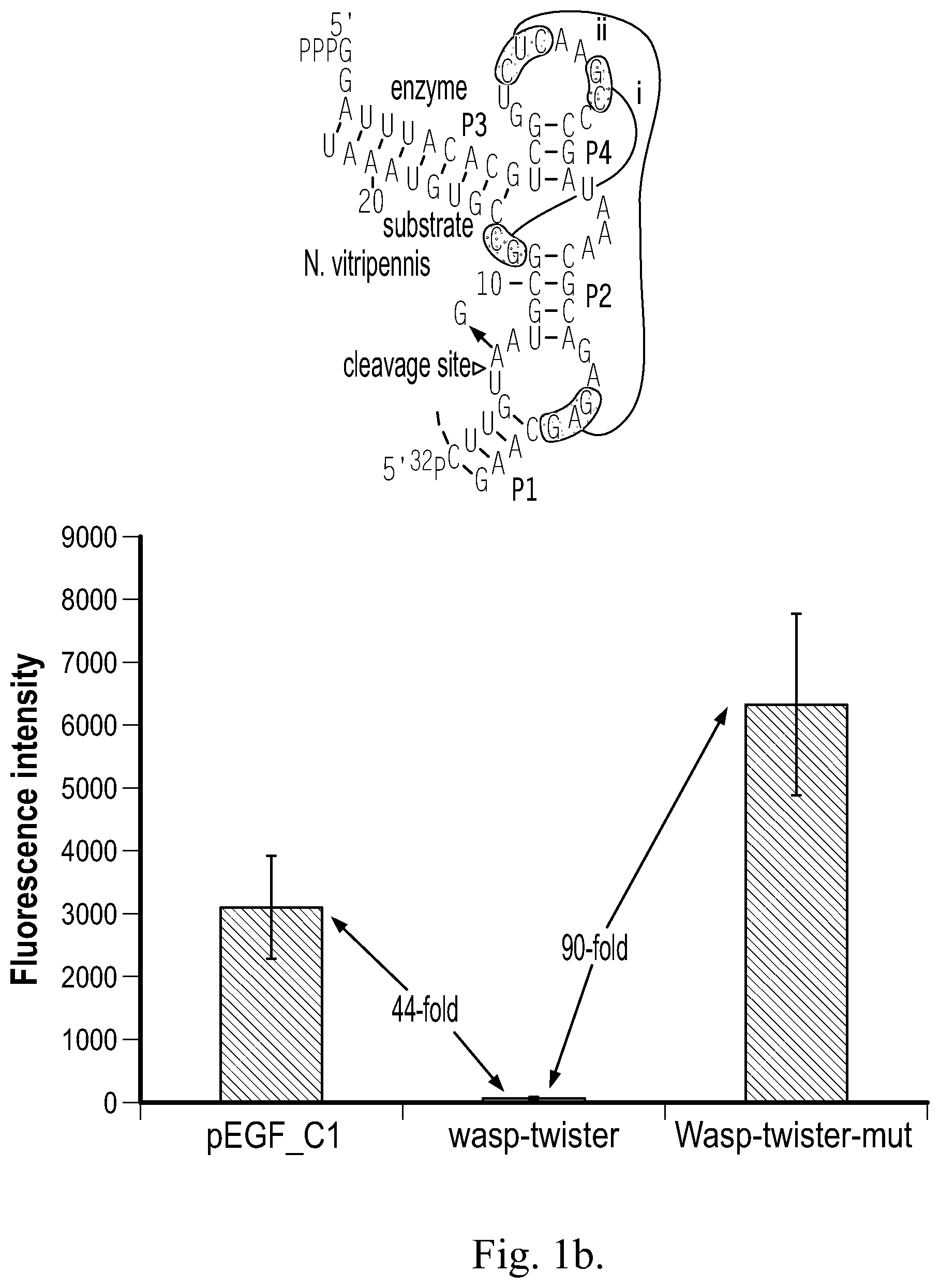 Patent US12359199 Figure 2 – Regulation of gene expression via aptamer-mediated control of self-cleaving ribozymes