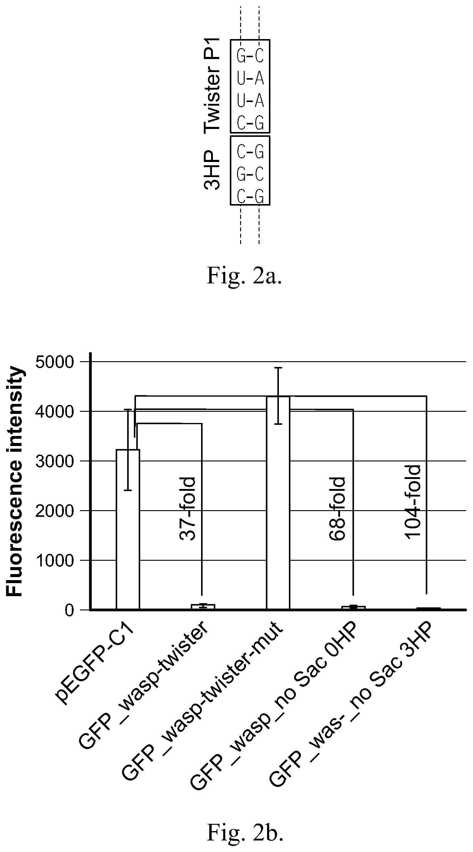 Patent US12359199 Figure 3 – Regulation of gene expression via aptamer-mediated control of self-cleaving ribozymes