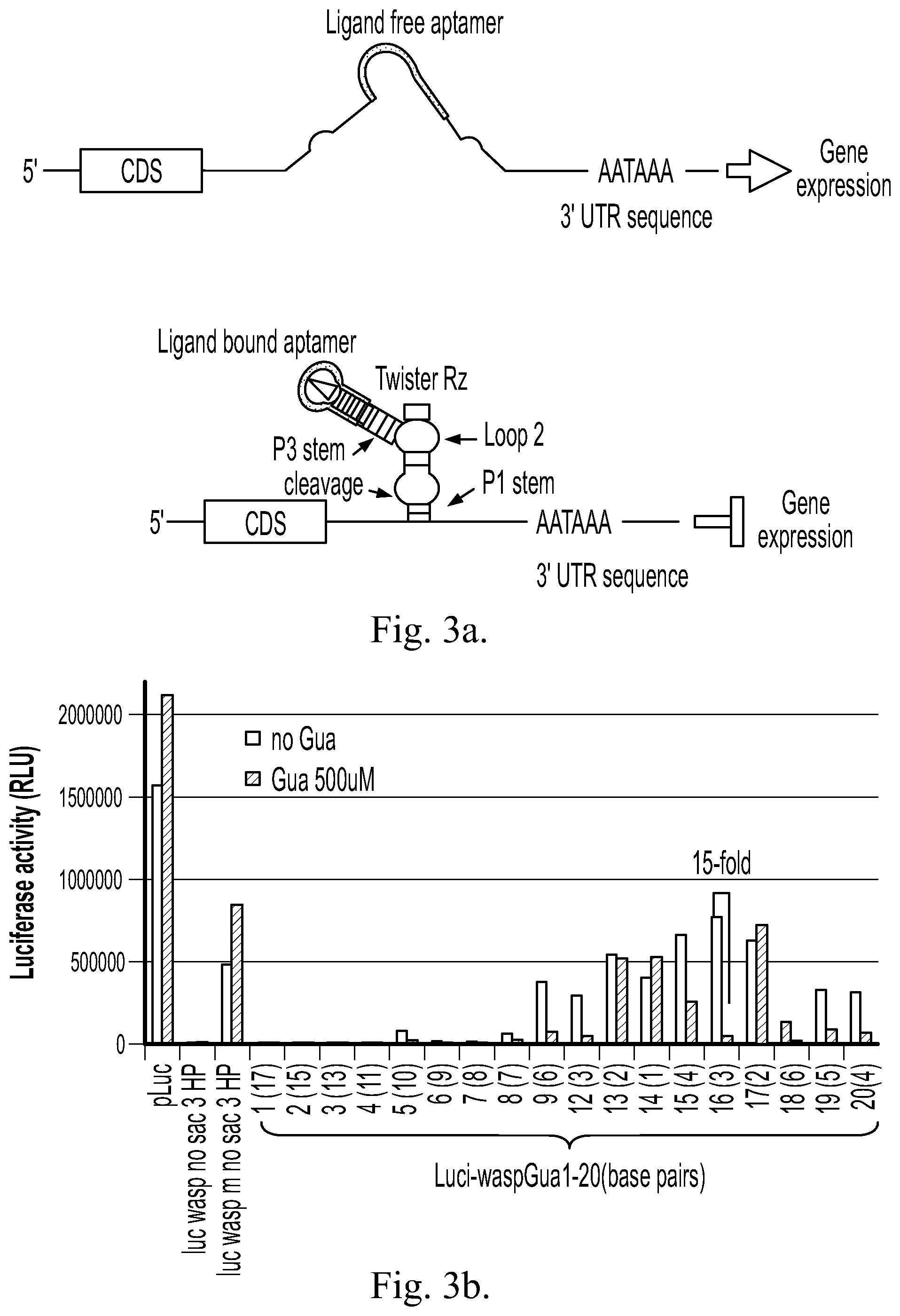 Patent US12359199 Figure 5 – Regulation of gene expression via aptamer-mediated control of self-cleaving ribozymes