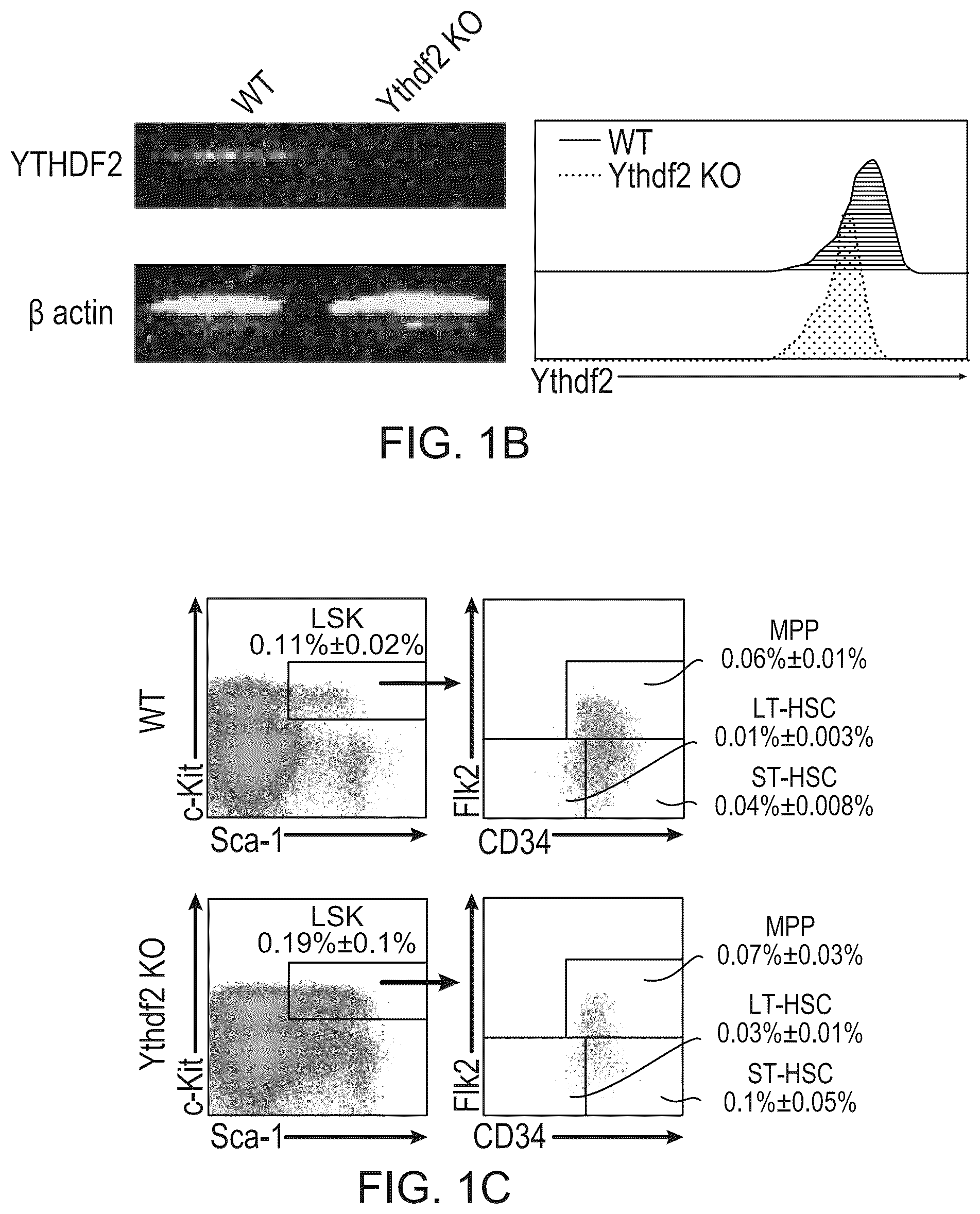 Patent US12359200 Figure 2 – Methods and compositions for expansion of cell population