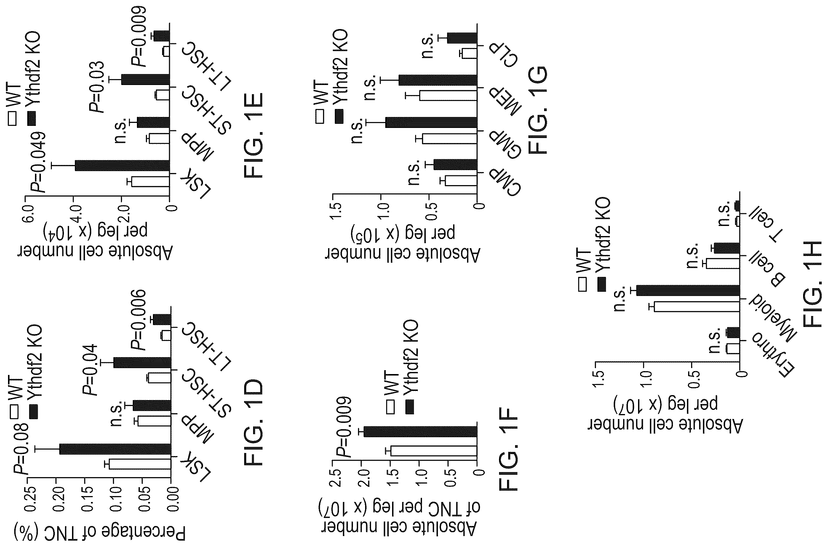 Patent US12359200 Figure 3 – Methods and compositions for expansion of cell population