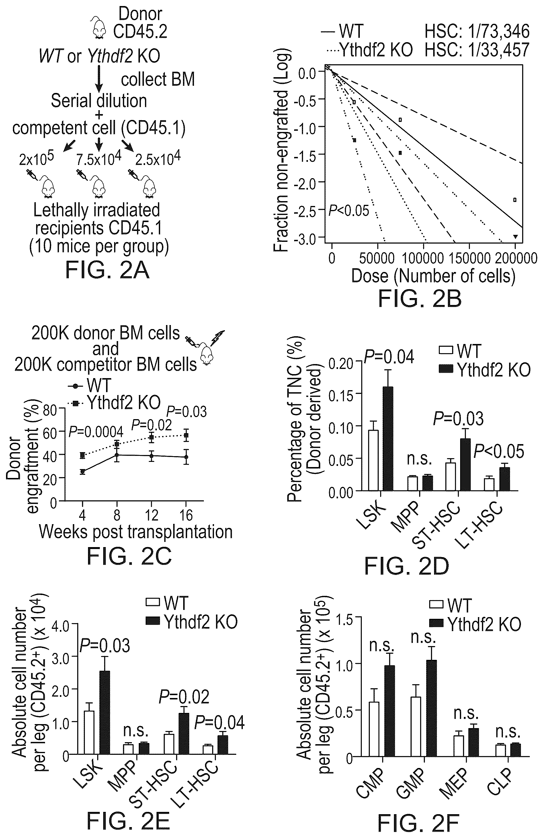 Patent US12359200 Figure 4 – Methods and compositions for expansion of cell population