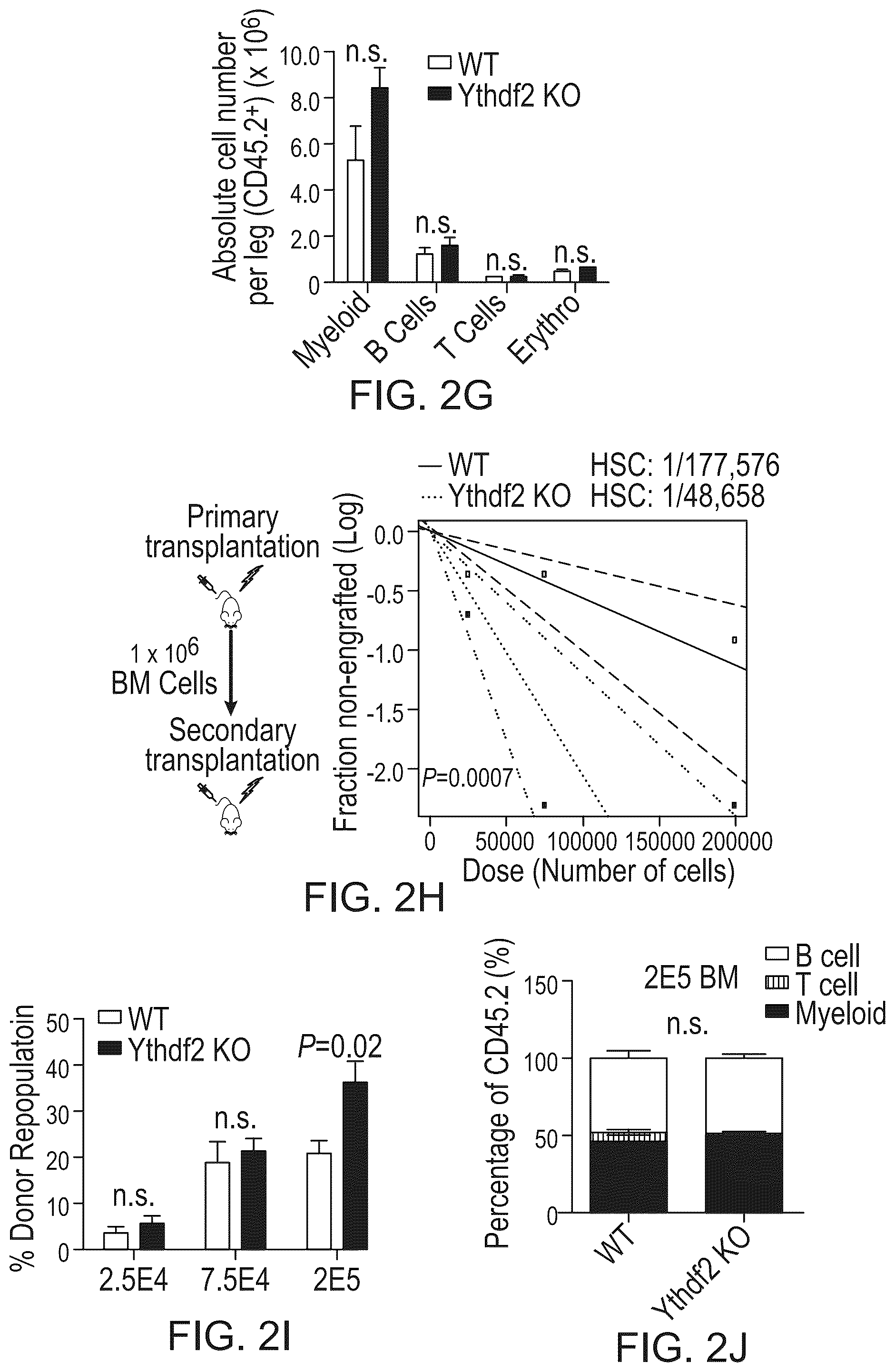 Patent US12359200 Figure 5 – Methods and compositions for expansion of cell population