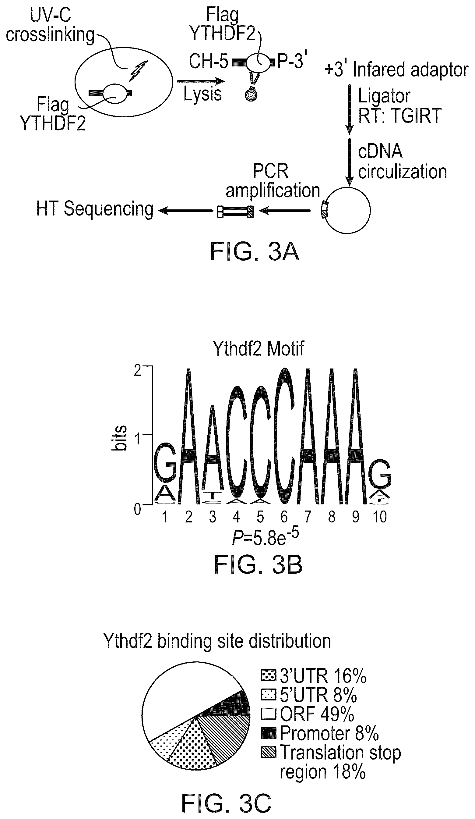 Patent US12359200 Figure 6 – Methods and compositions for expansion of cell population