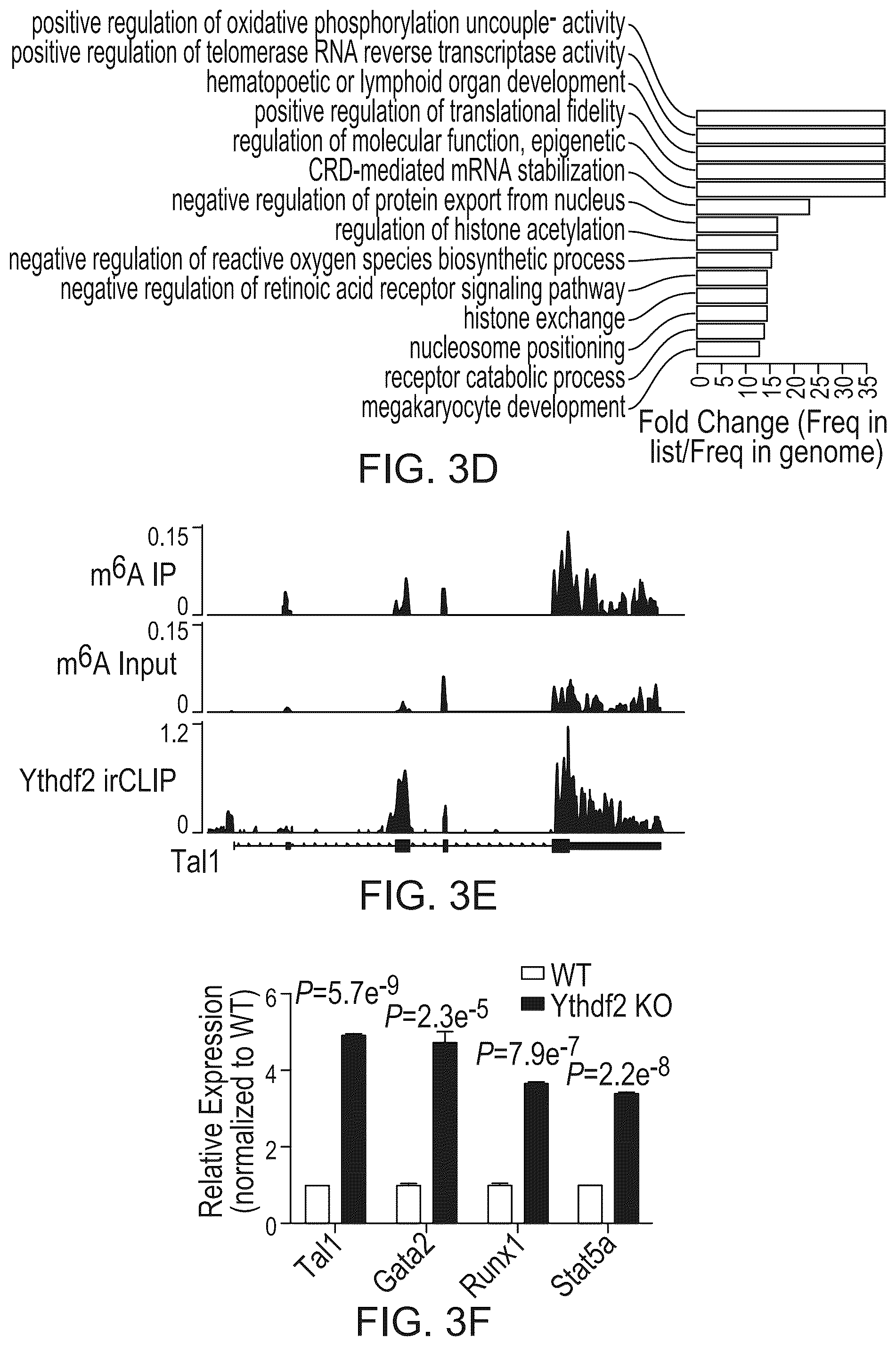 Patent US12359200 Figure 7 – Methods and compositions for expansion of cell population