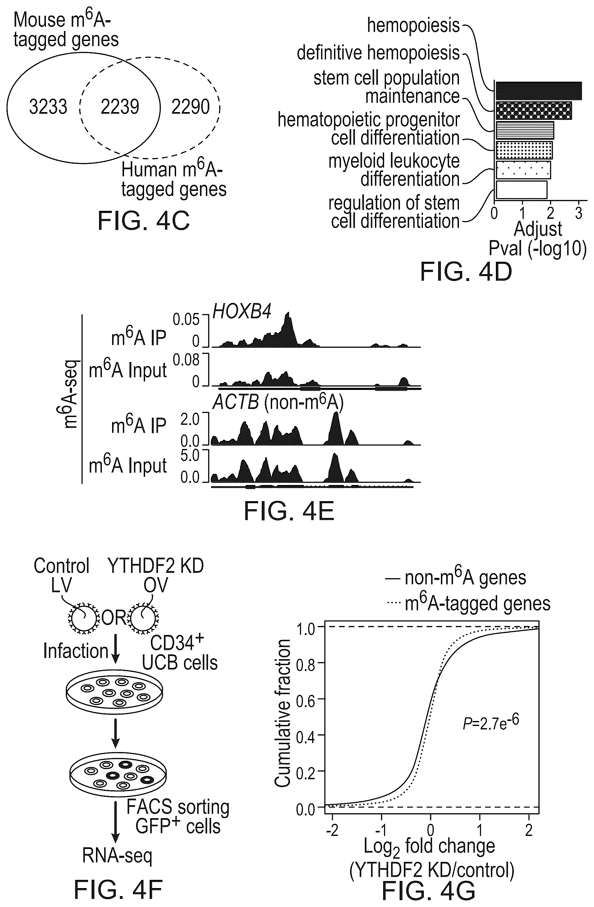 Patent US12359200 Figure 10 – Methods and compositions for expansion of cell population