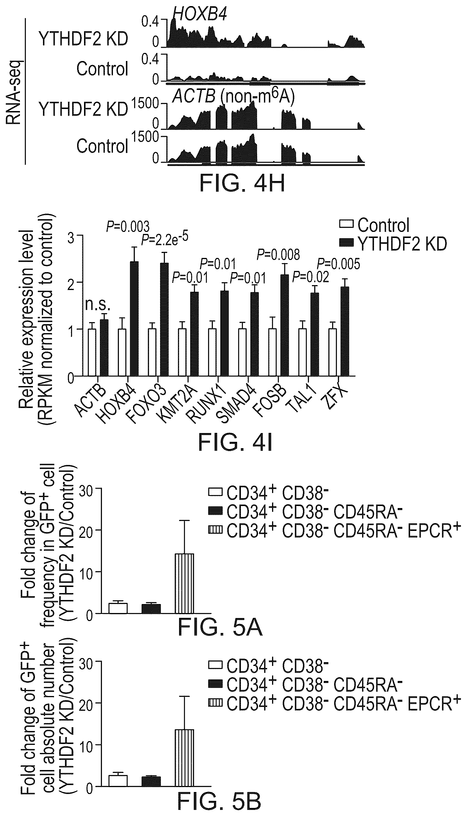 Patent US12359200 Figure 11 – Methods and compositions for expansion of cell population