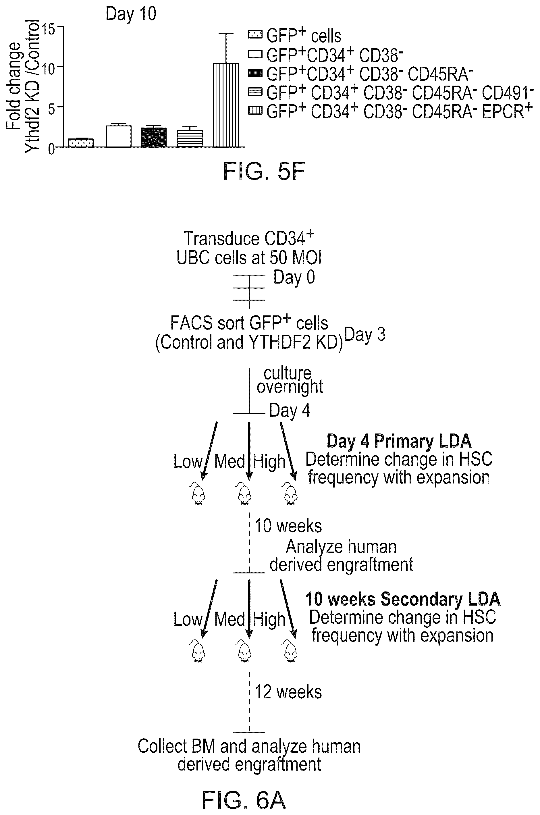 Patent US12359200 Figure 13 – Methods and compositions for expansion of cell population