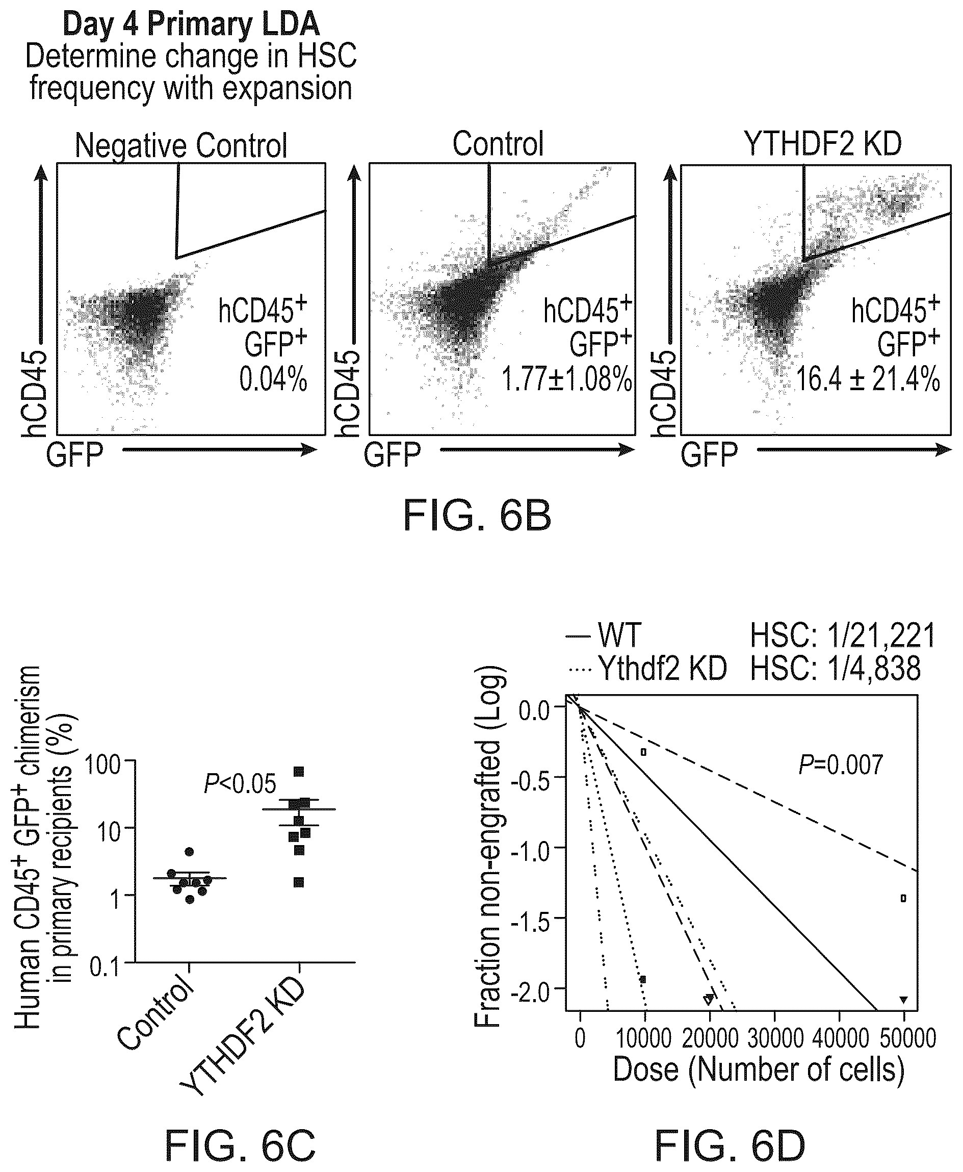 Patent US12359200 Figure 14 – Methods and compositions for expansion of cell population