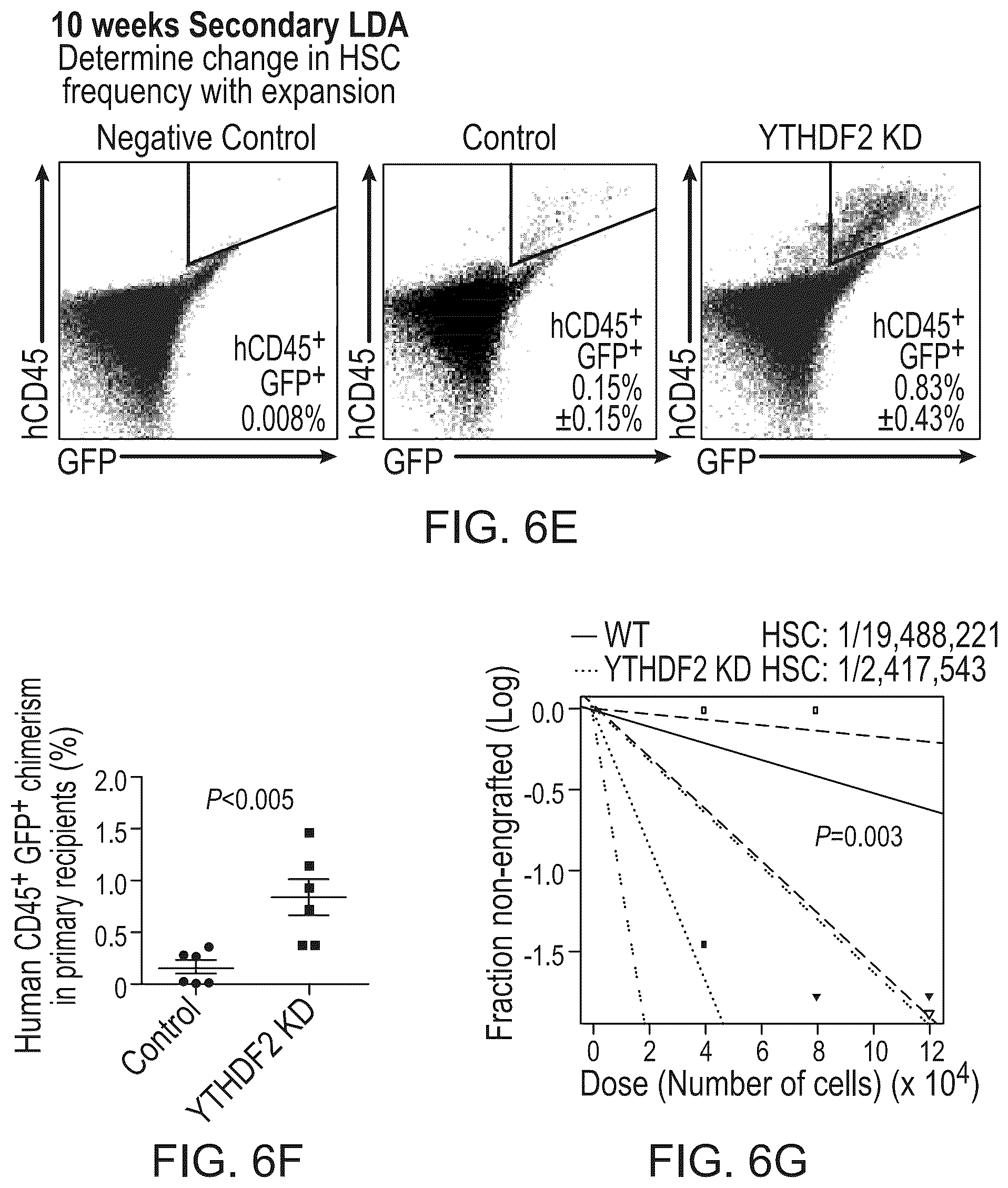 Patent US12359200 Figure 15 – Methods and compositions for expansion of cell population