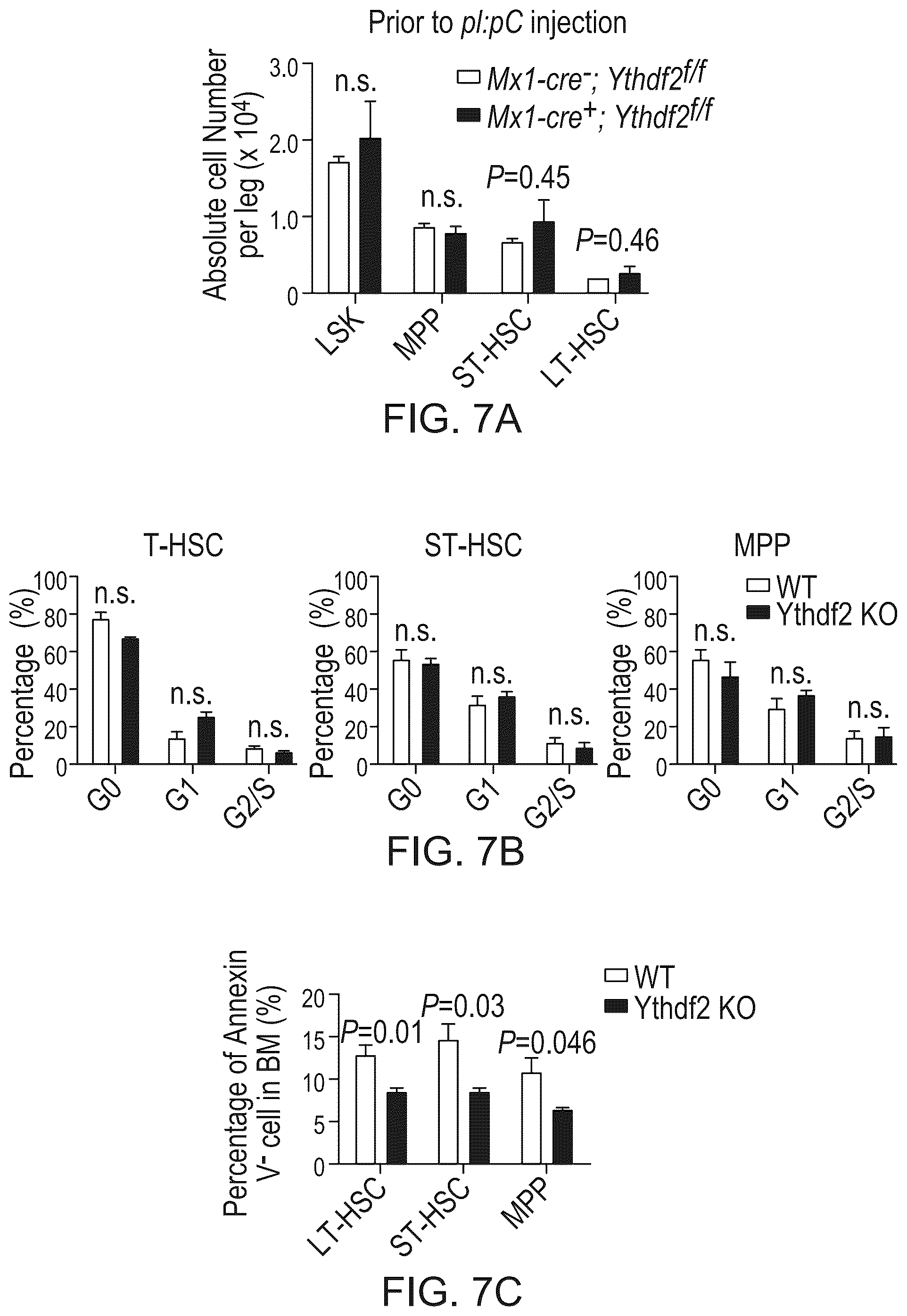 Patent US12359200 Figure 16 – Methods and compositions for expansion of cell population
