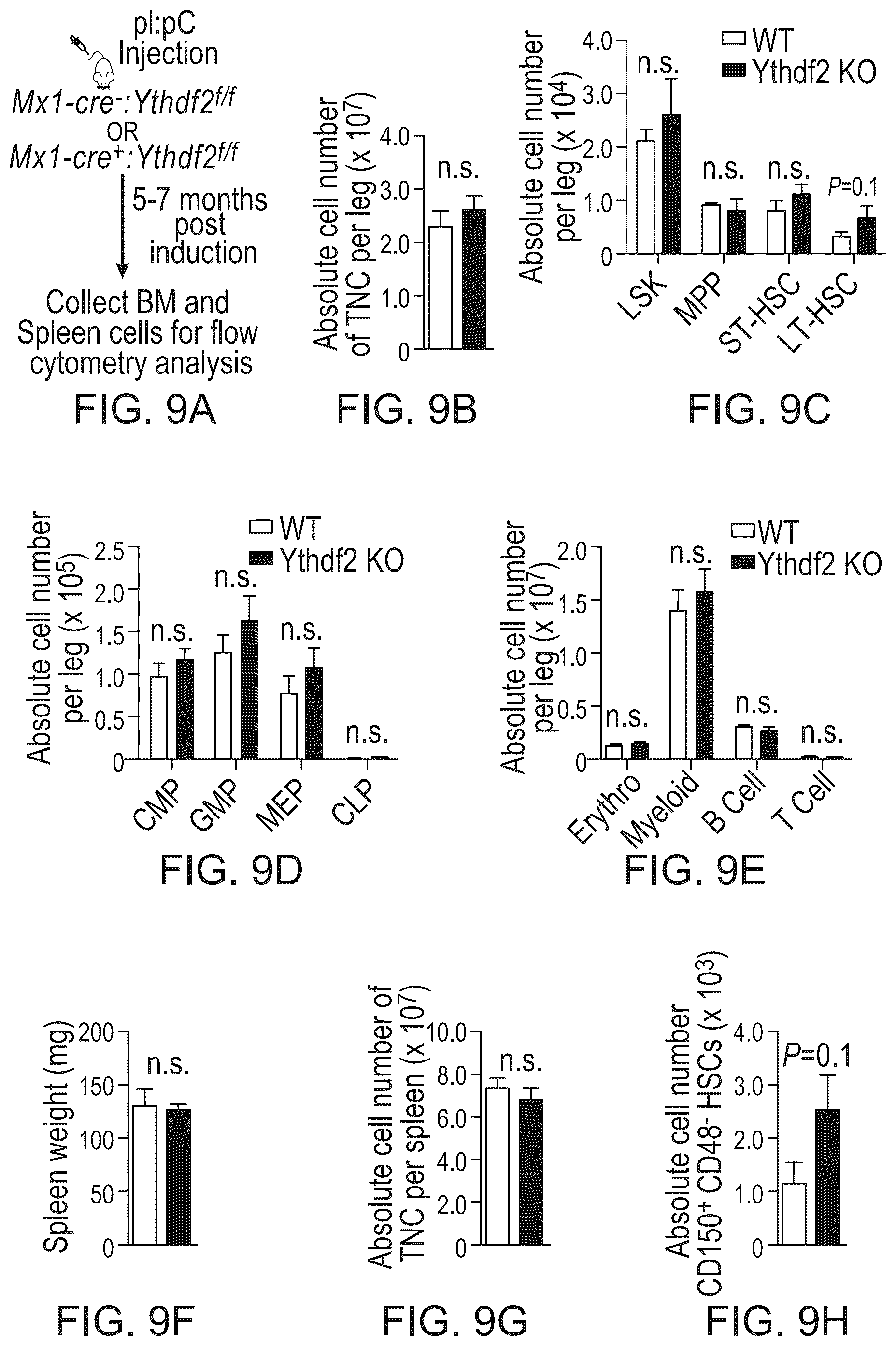 Patent US12359200 Figure 20 – Methods and compositions for expansion of cell population
