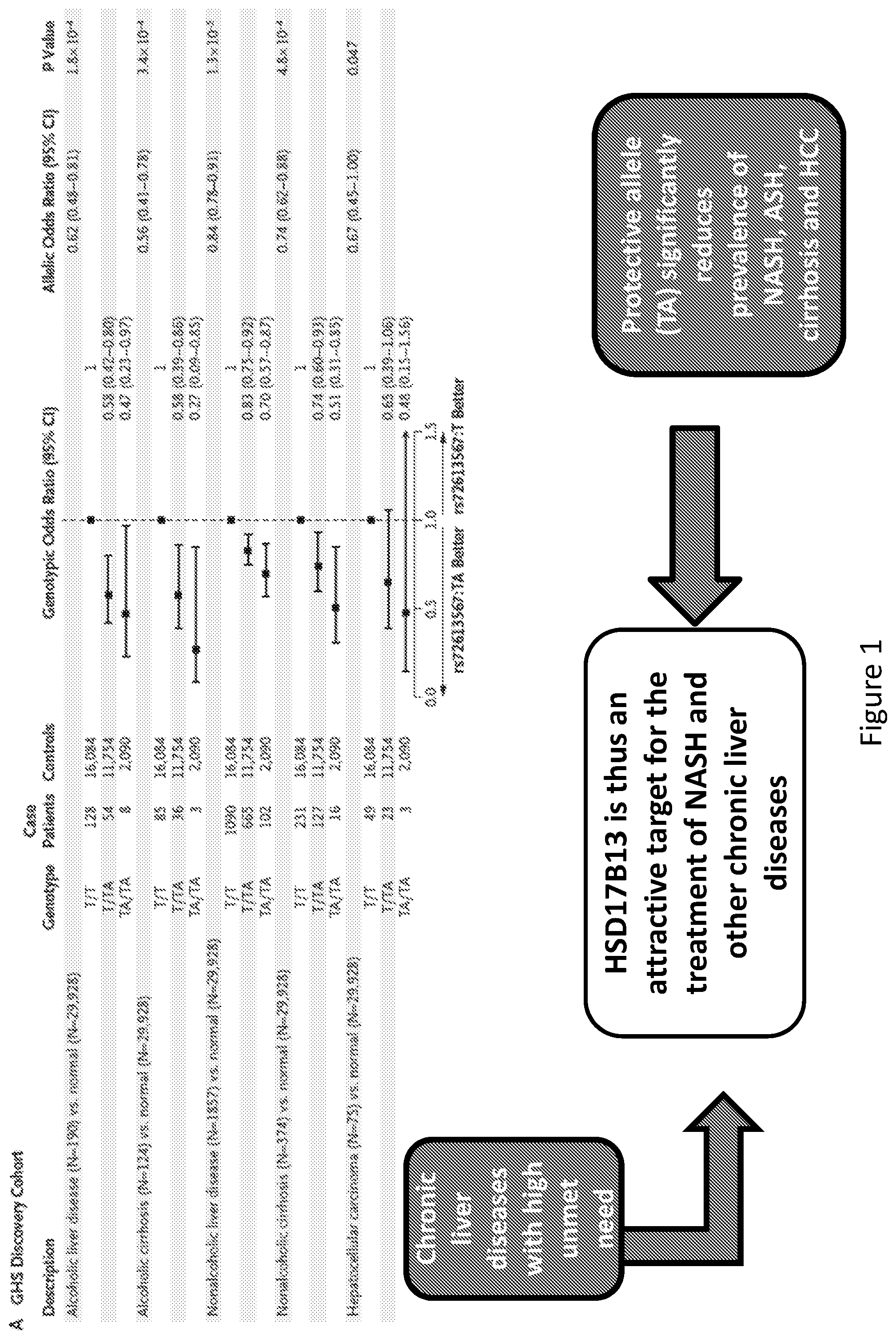 Patent US12359201 — 17ß-hydroxysteroid dehydrogenase type 13 (HSD17B13) iRNA compositions and methods of use thereof — Figure 1