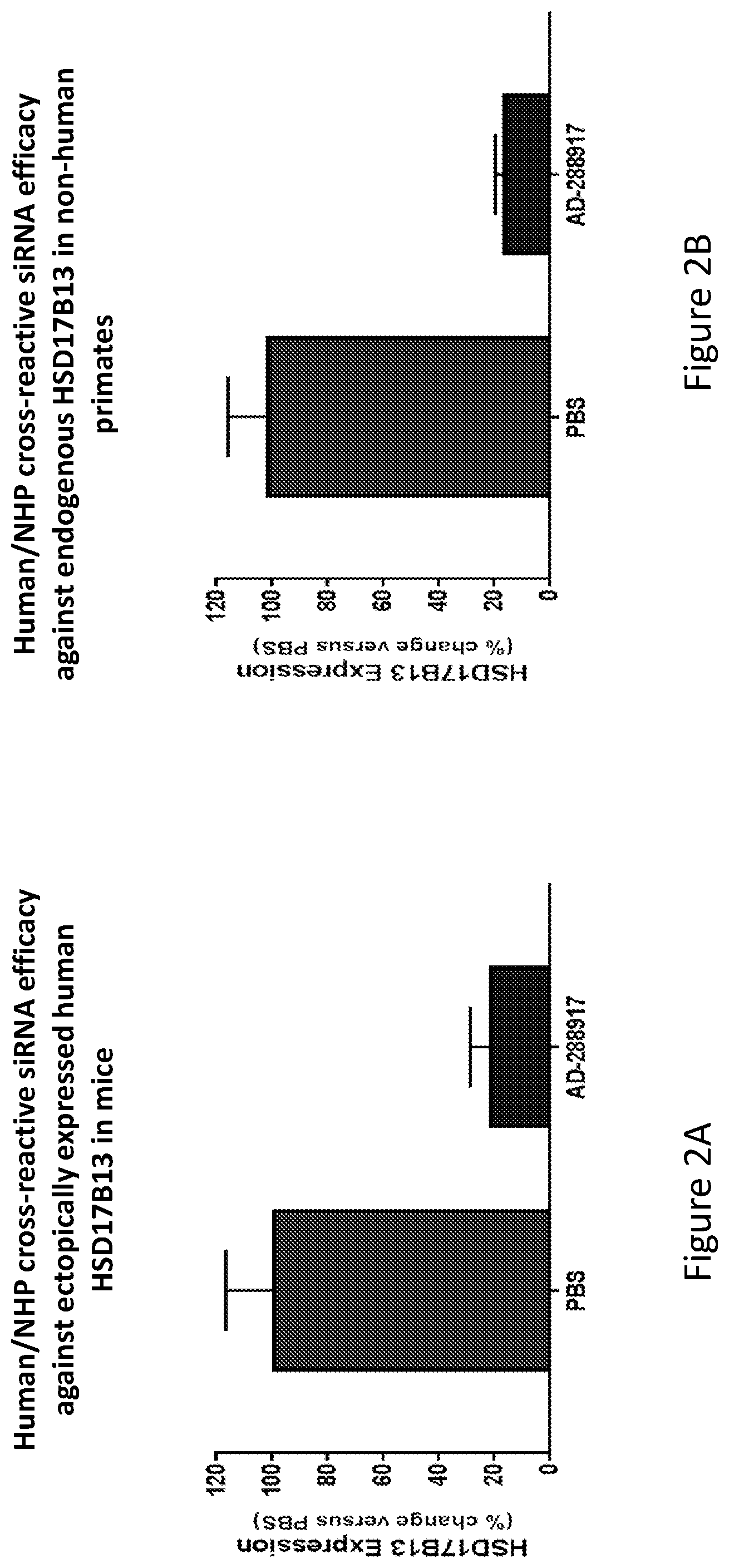 Patent US12359201 Figure 2 – 17ß-hydroxysteroid dehydrogenase type 13 (HSD17B13) iRNA compositions and methods of use thereof