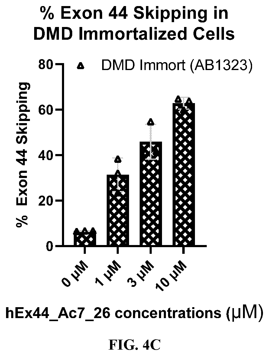 Patent US12359202 Figure 5 – Anti-transferrin receptor antibody-PMO conjugates for inducing DMD exon 44 skipping
