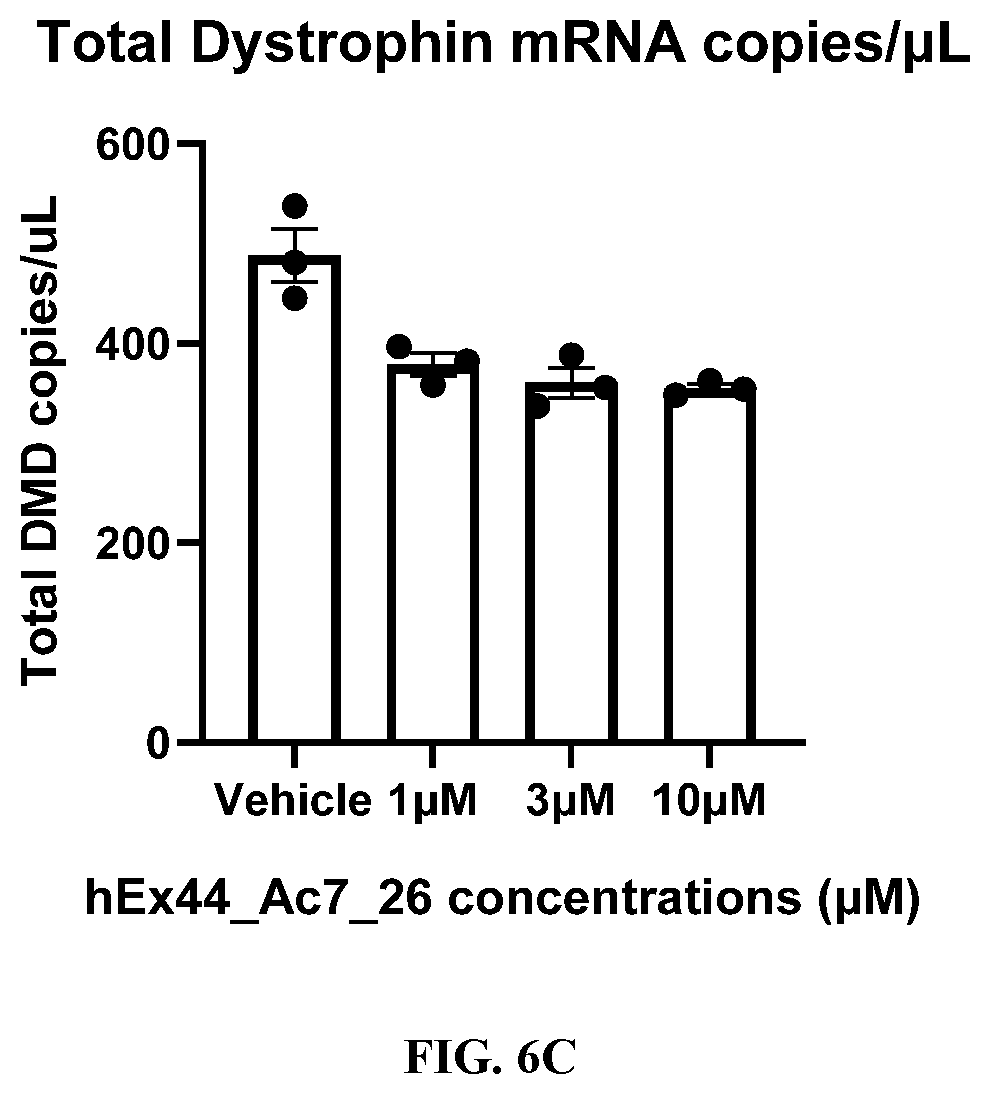 Patent US12359202 Figure 9 – Anti-transferrin receptor antibody-PMO conjugates for inducing DMD exon 44 skipping