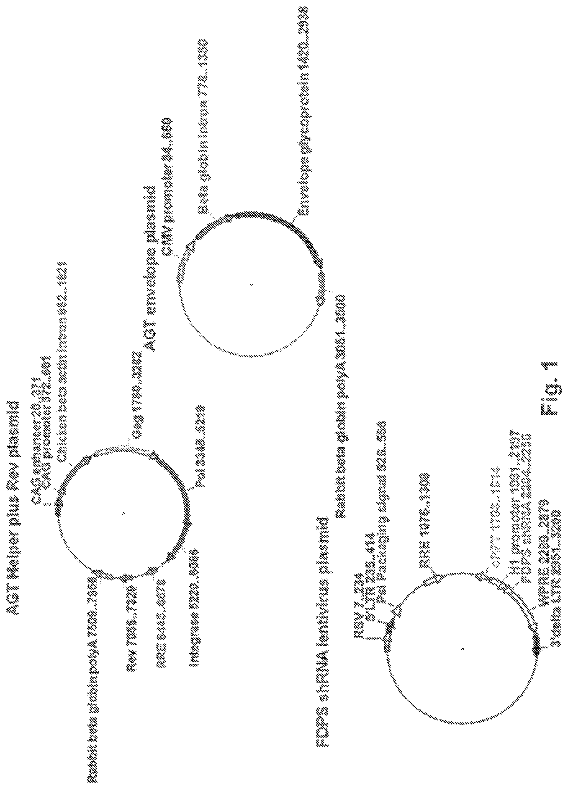 Patent US12359203 Figure 1 – Combination vectors and methods for treating cancer