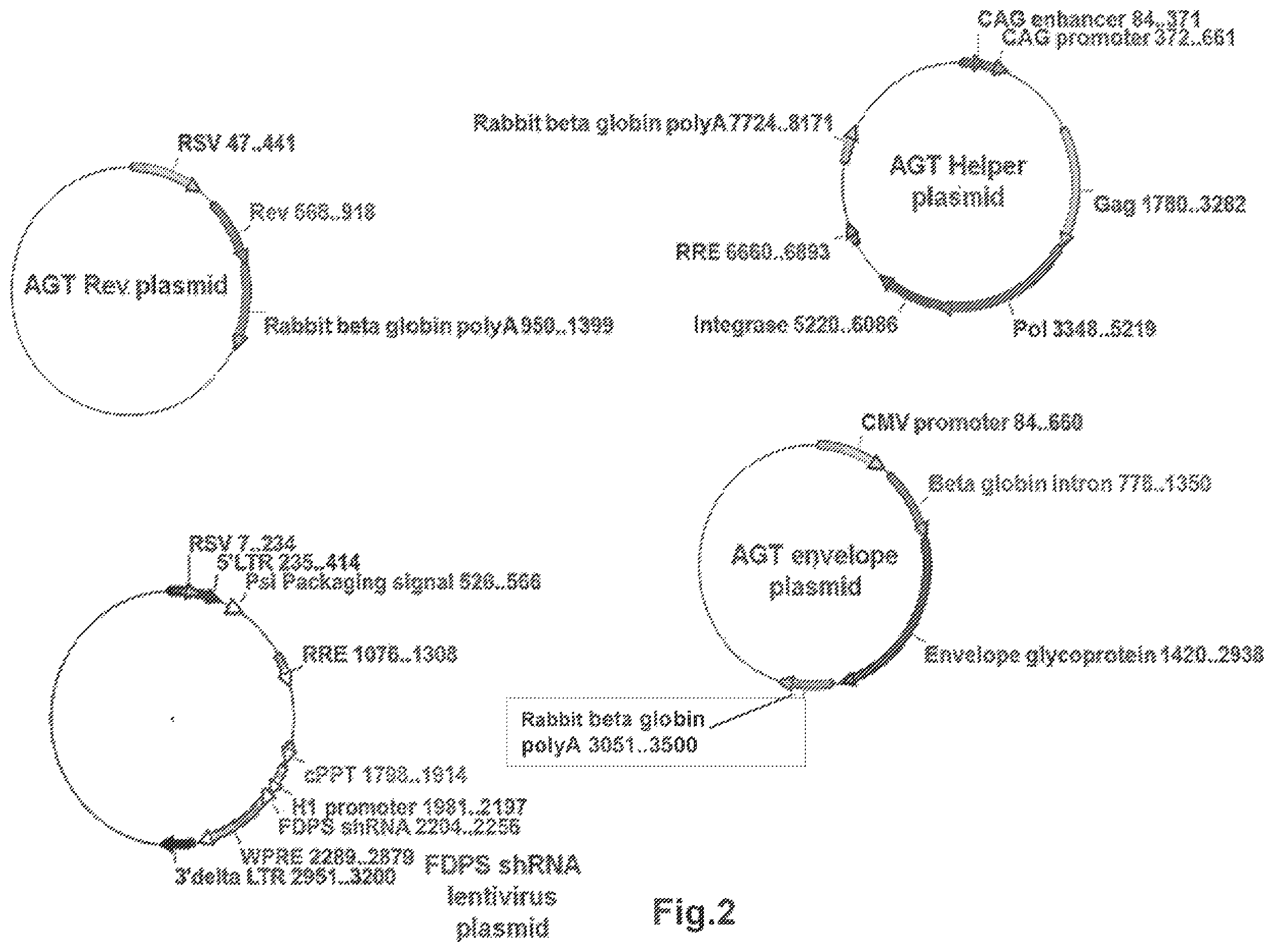 Patent US12359203 Figure 2 – Combination vectors and methods for treating cancer