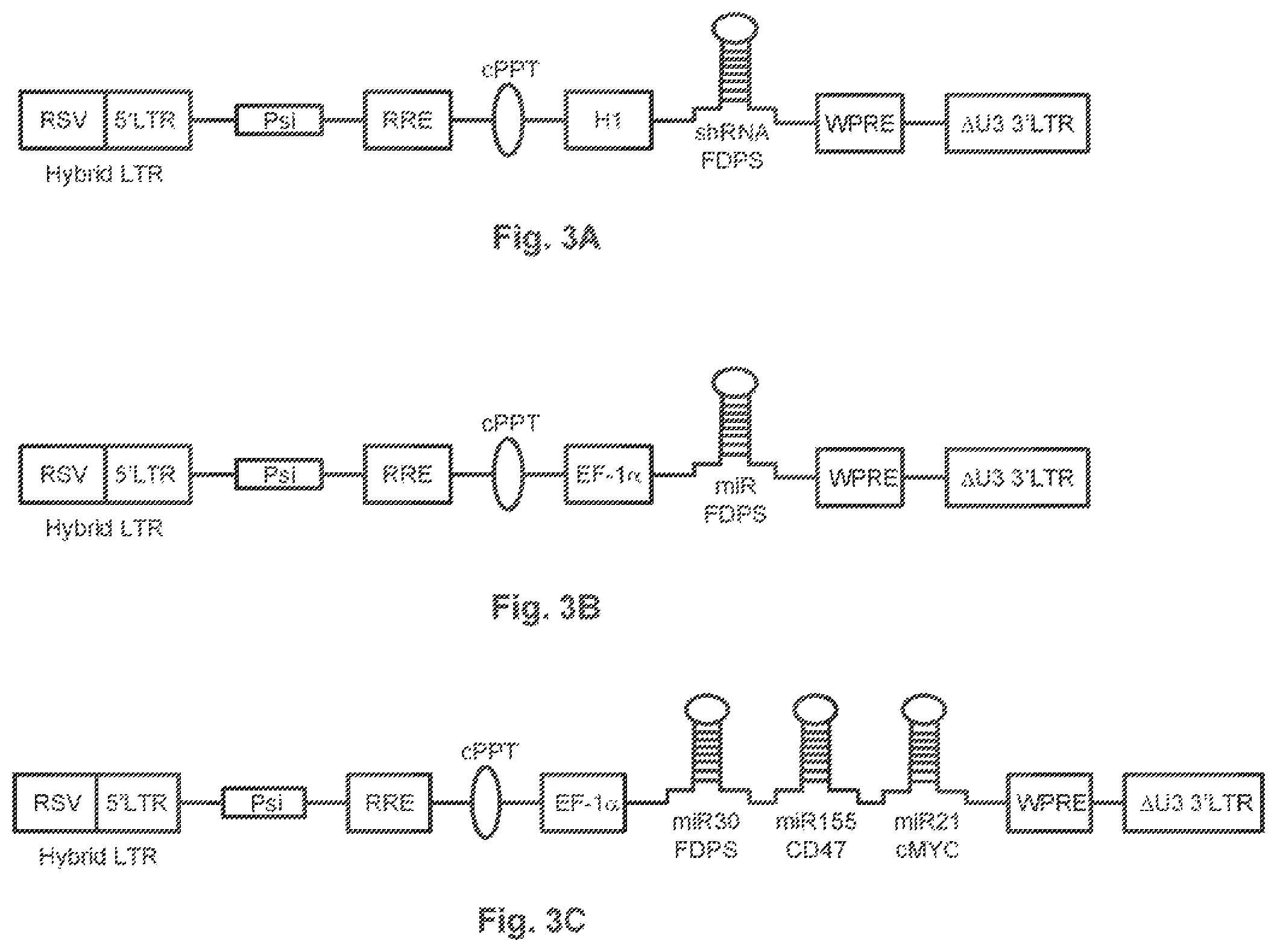Patent US12359203 Figure 3 – Combination vectors and methods for treating cancer