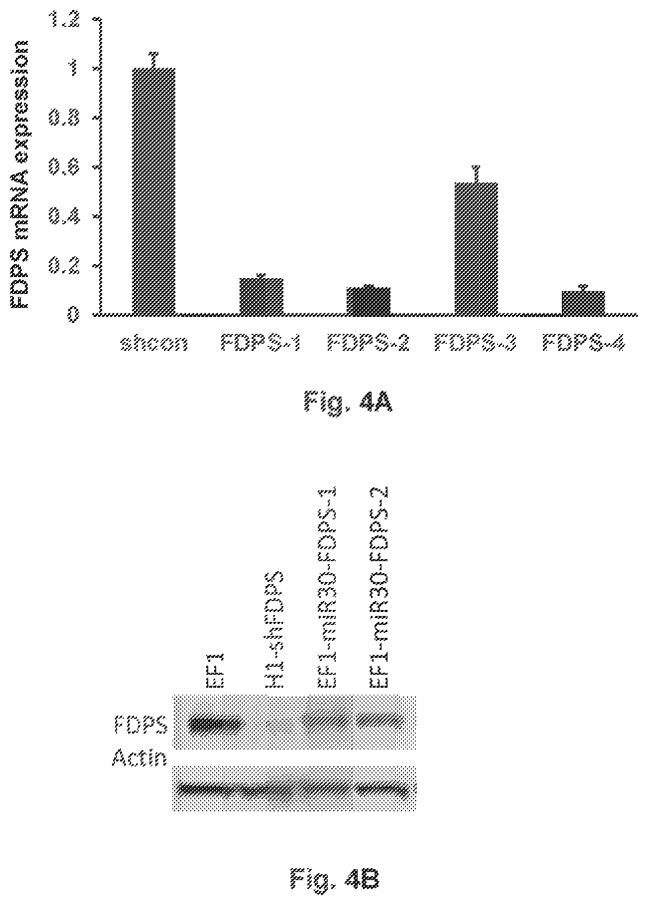 Patent US12359203 Figure 4 – Combination vectors and methods for treating cancer