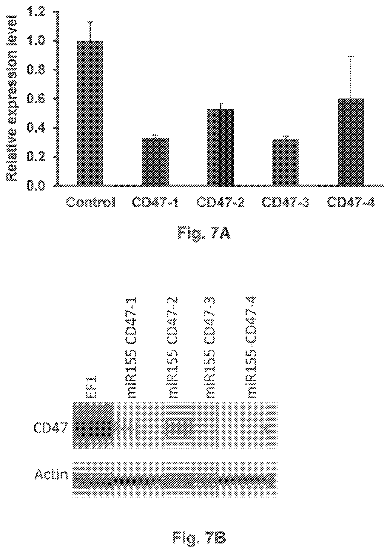 Patent US12359203 Figure 8 – Combination vectors and methods for treating cancer