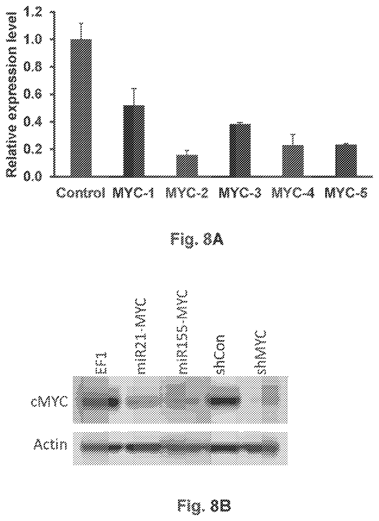 Patent US12359203 Figure 9 – Combination vectors and methods for treating cancer