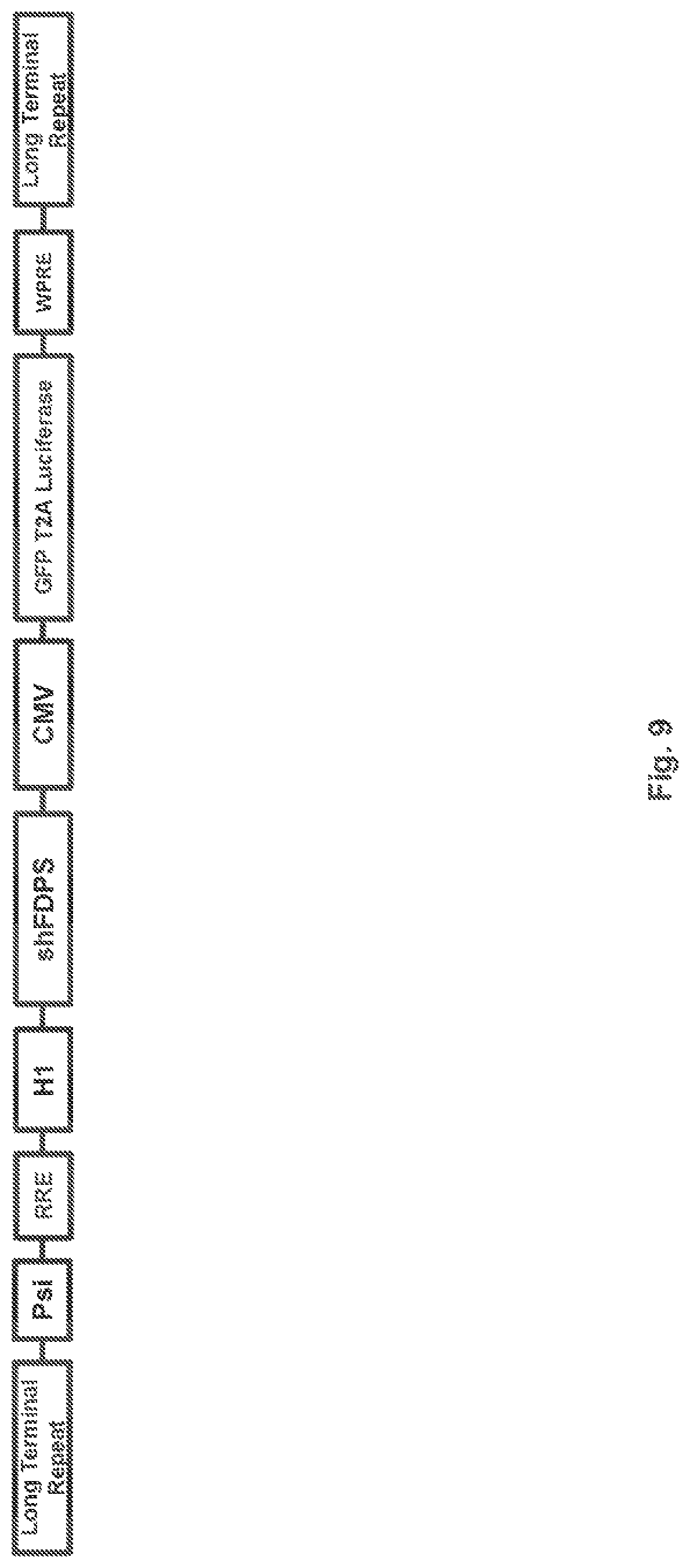 Patent US12359203 Figure 10 – Combination vectors and methods for treating cancer