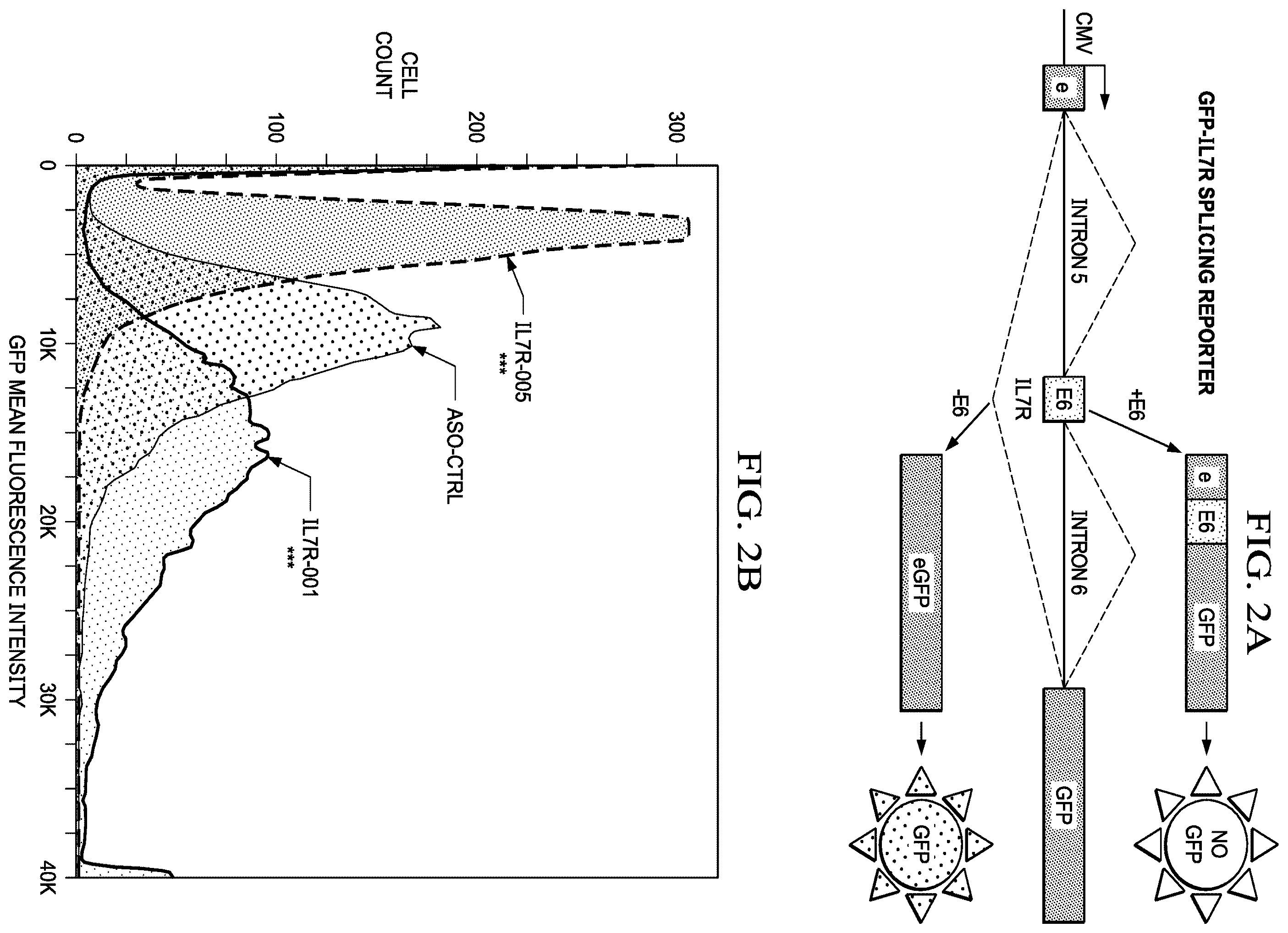 Patent US12359204 Figure 3 – Soluble interleukin-7 receptor (SIL7R) modulating therapy to treat autoimmune diseases and cancer