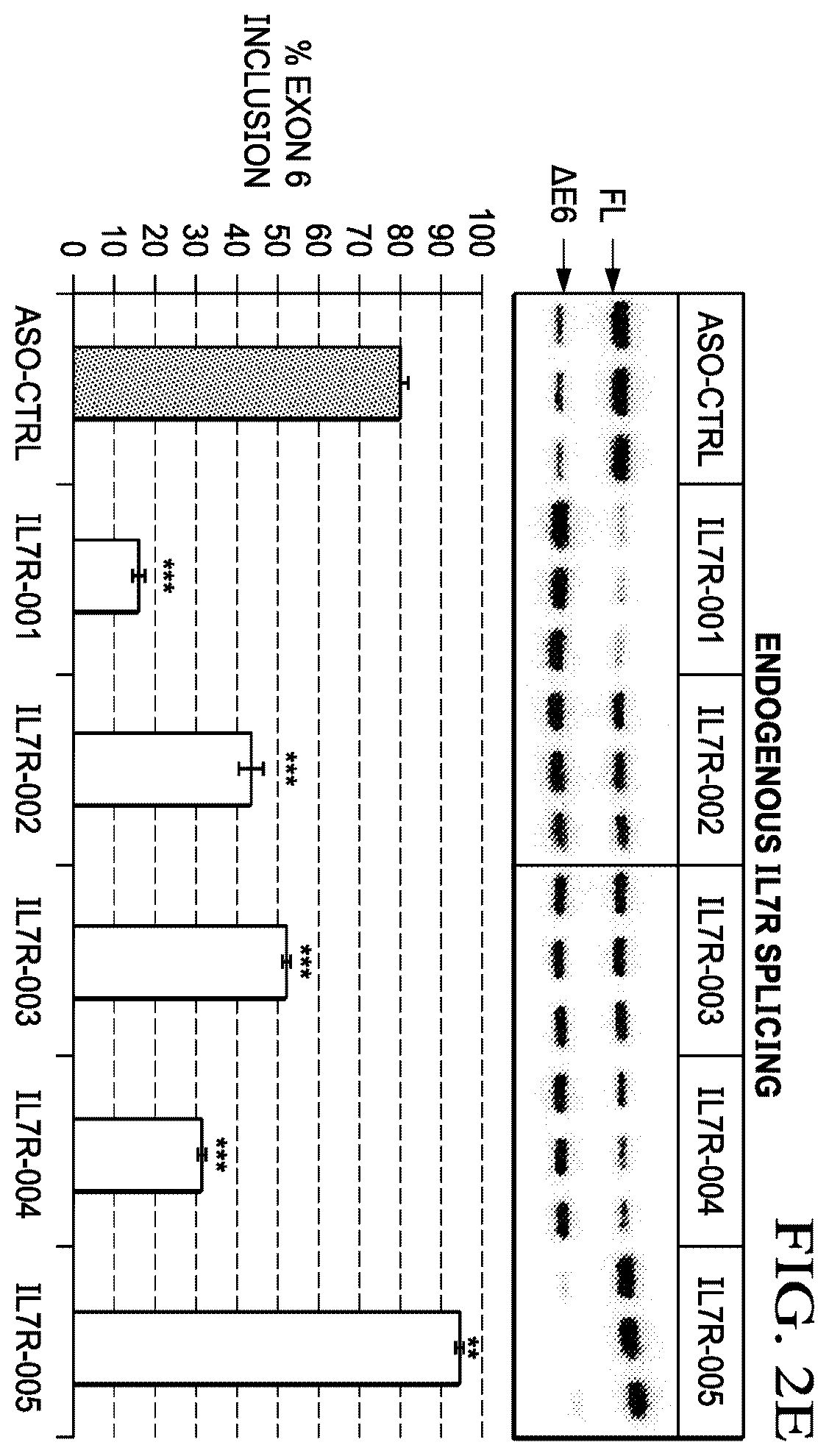 Patent US12359204 Figure 5 – Soluble interleukin-7 receptor (SIL7R) modulating therapy to treat autoimmune diseases and cancer