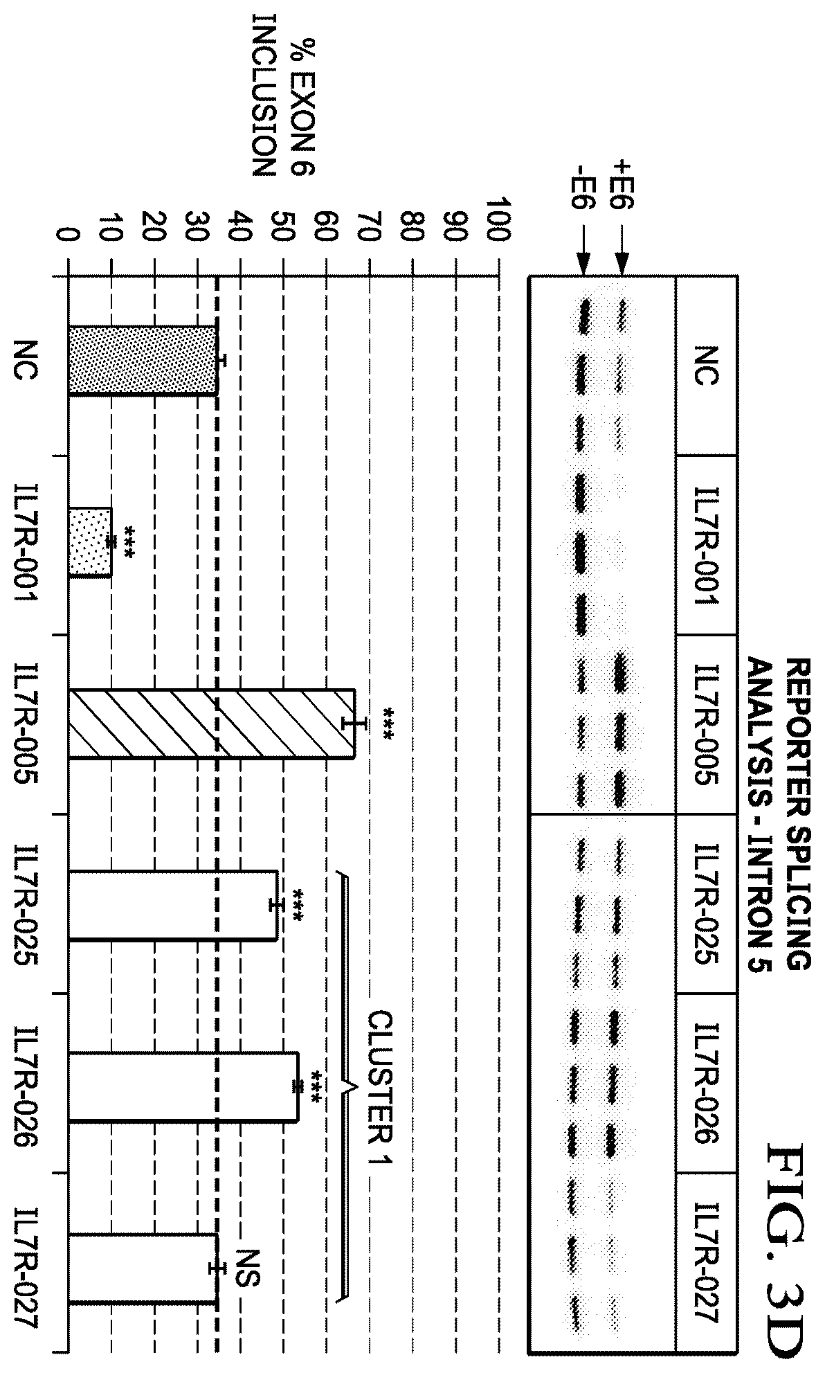 Patent US12359204 Figure 8 – Soluble interleukin-7 receptor (SIL7R) modulating therapy to treat autoimmune diseases and cancer
