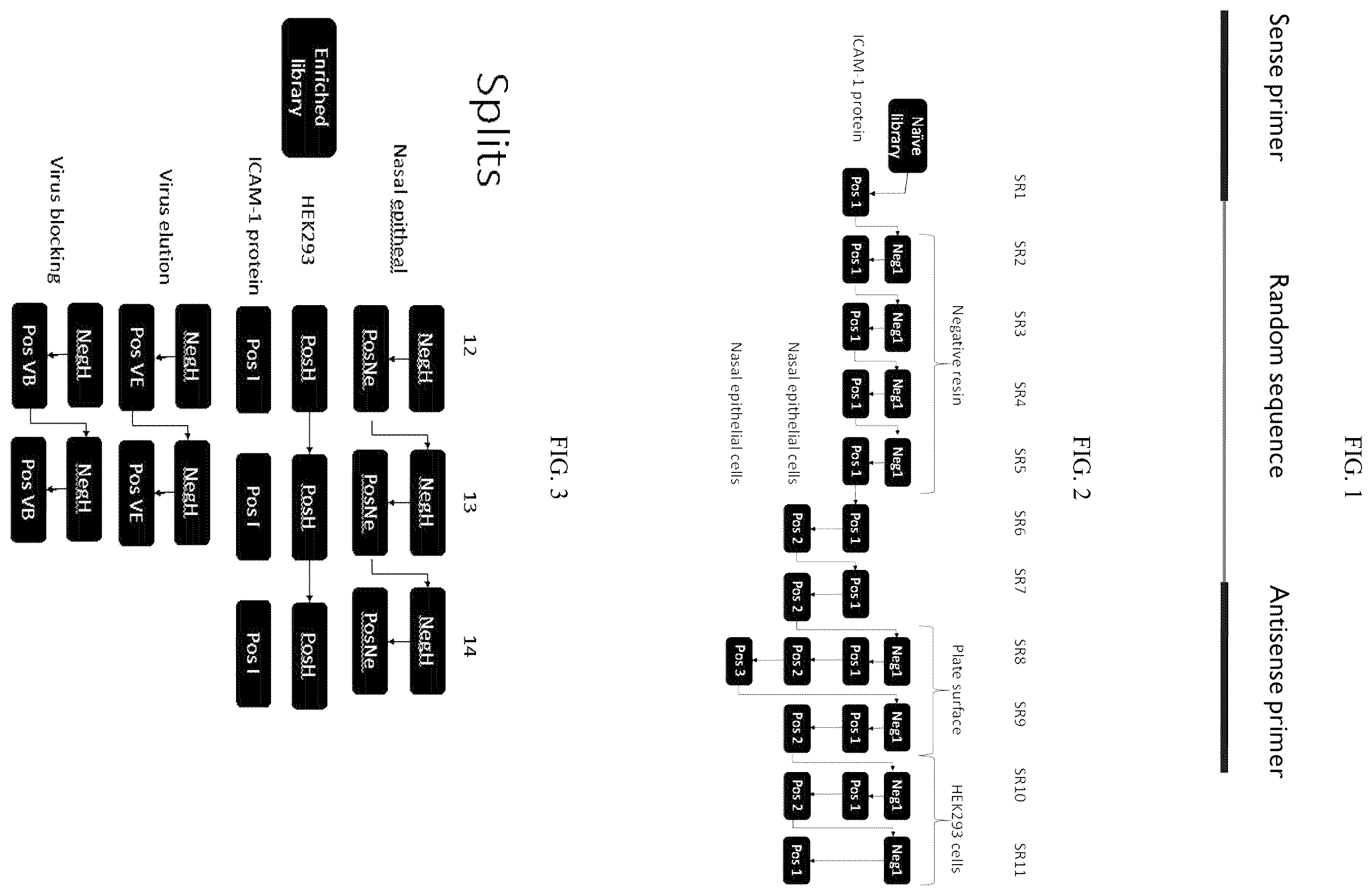 Patent US12359205 Figure 1 – Aptamers for personal health care applications