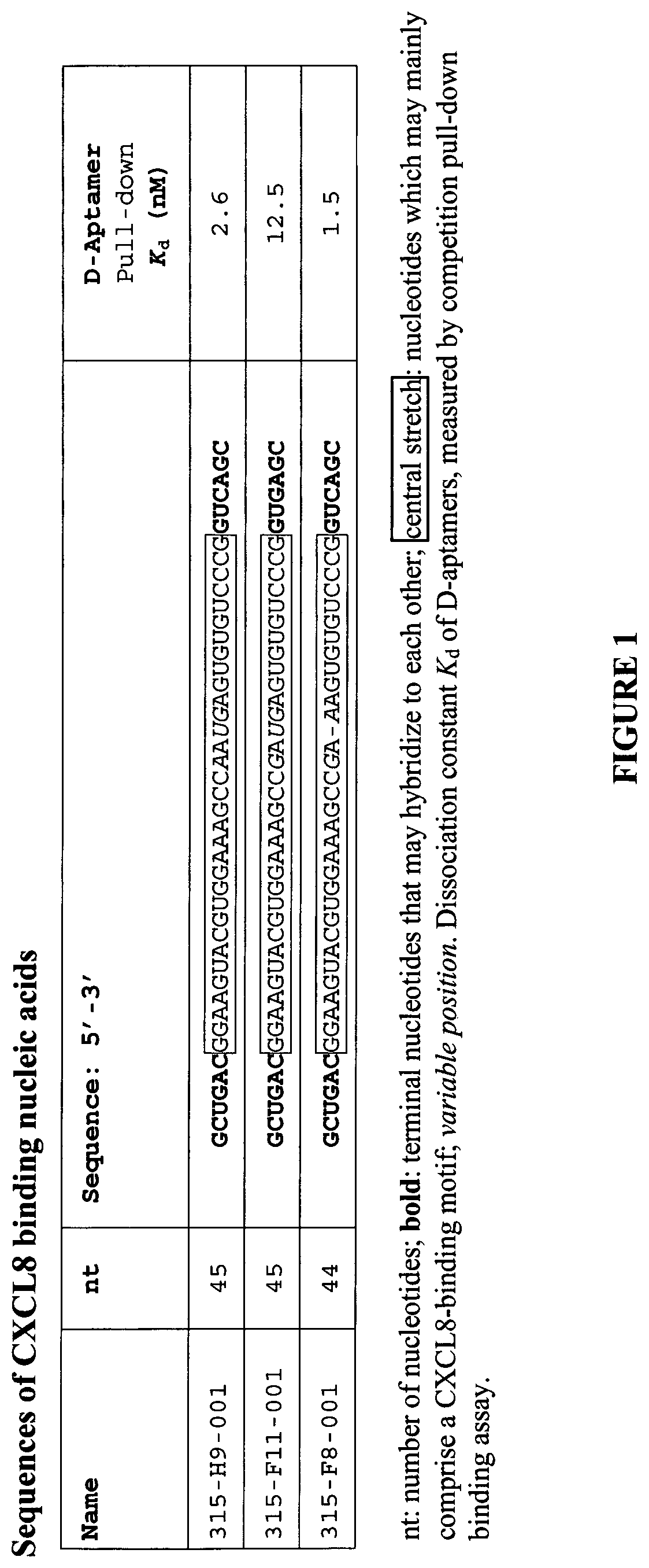 Patent US12359206 Figure 1 – CXCL8 binding nucleic acids