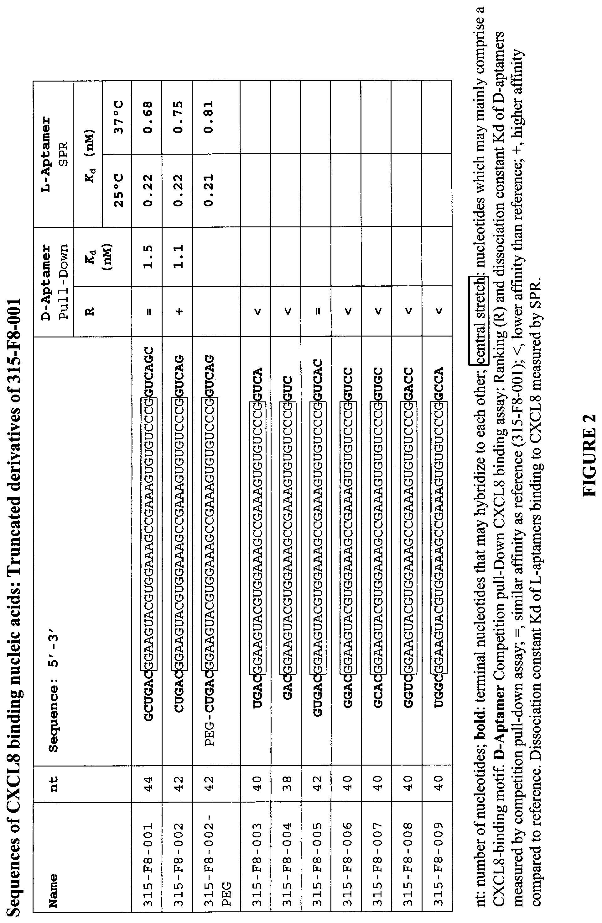 Patent US12359206 Figure 2 – CXCL8 binding nucleic acids