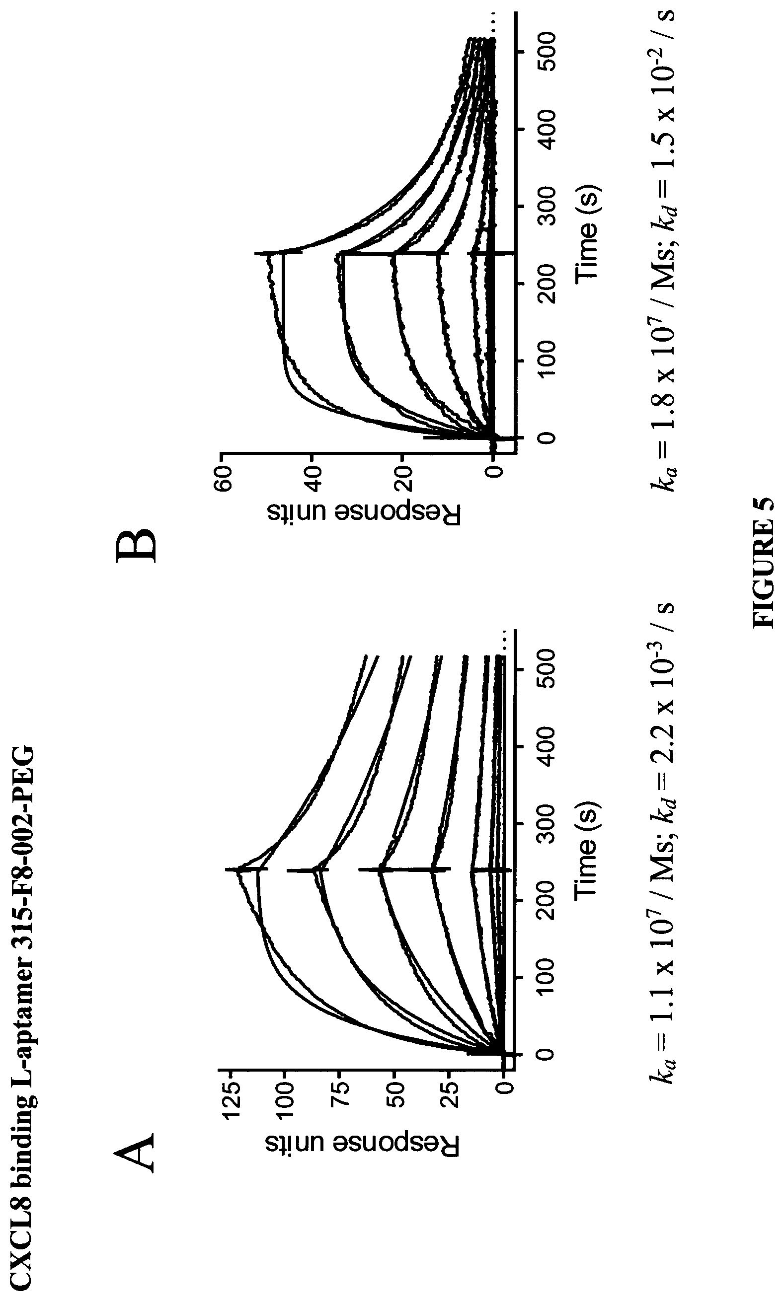 Patent US12359206 Figure 5 – CXCL8 binding nucleic acids