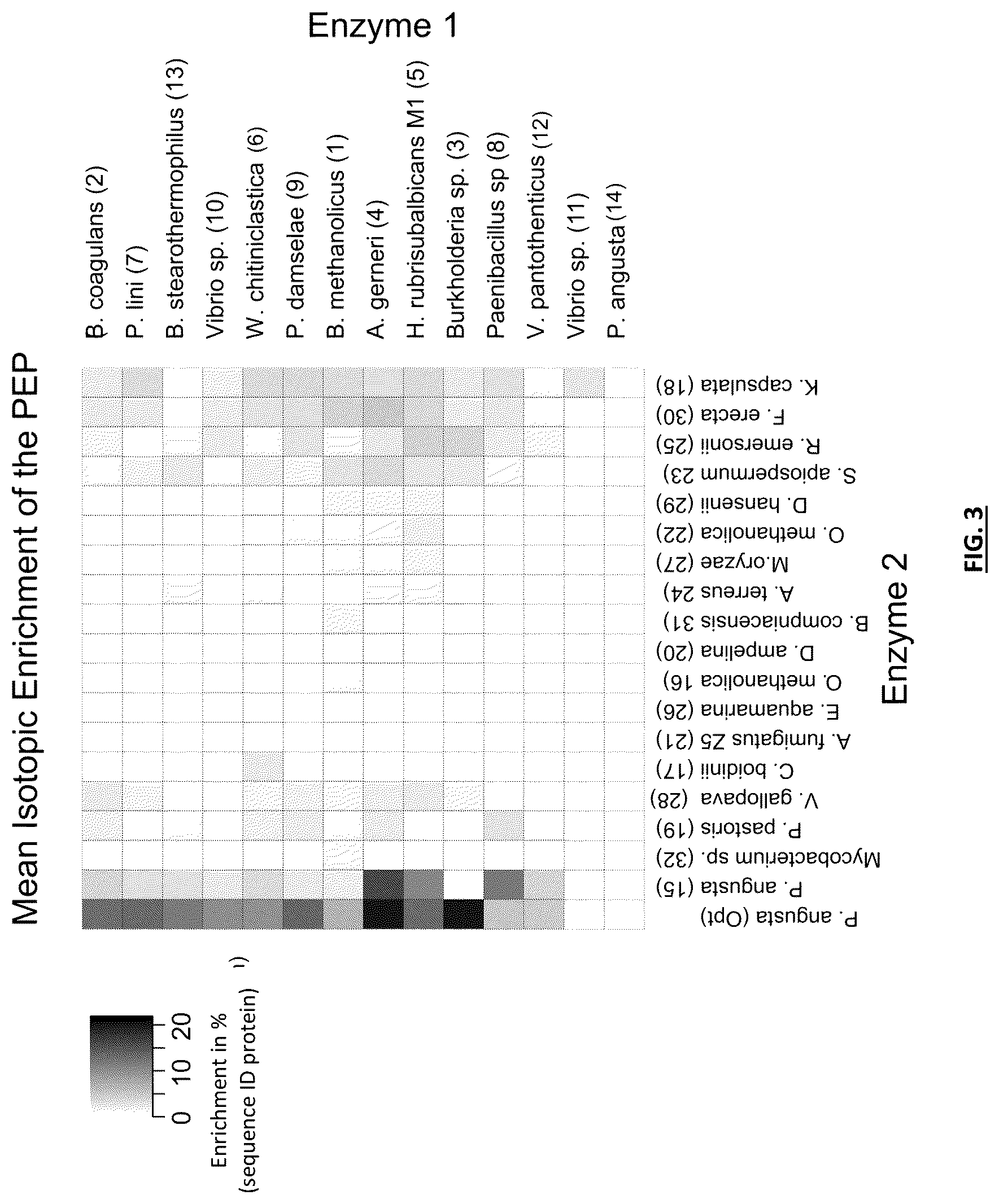 Patent US12359207 Figure 3 – Synthetic methylotrophy