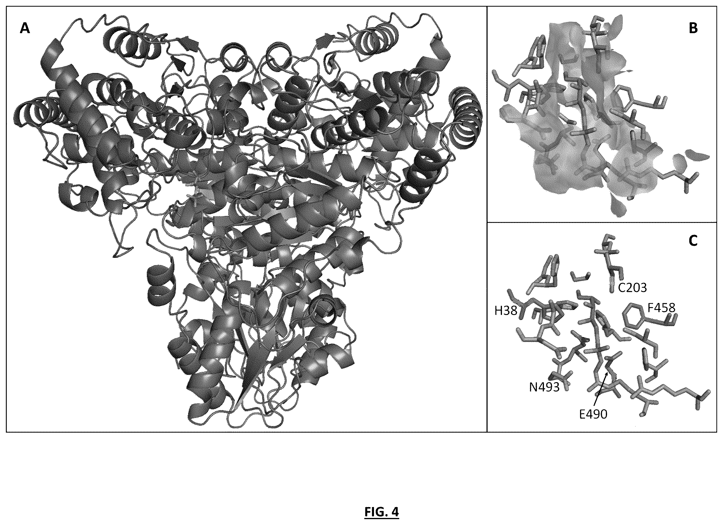 Patent US12359207 Figure 4 – Synthetic methylotrophy